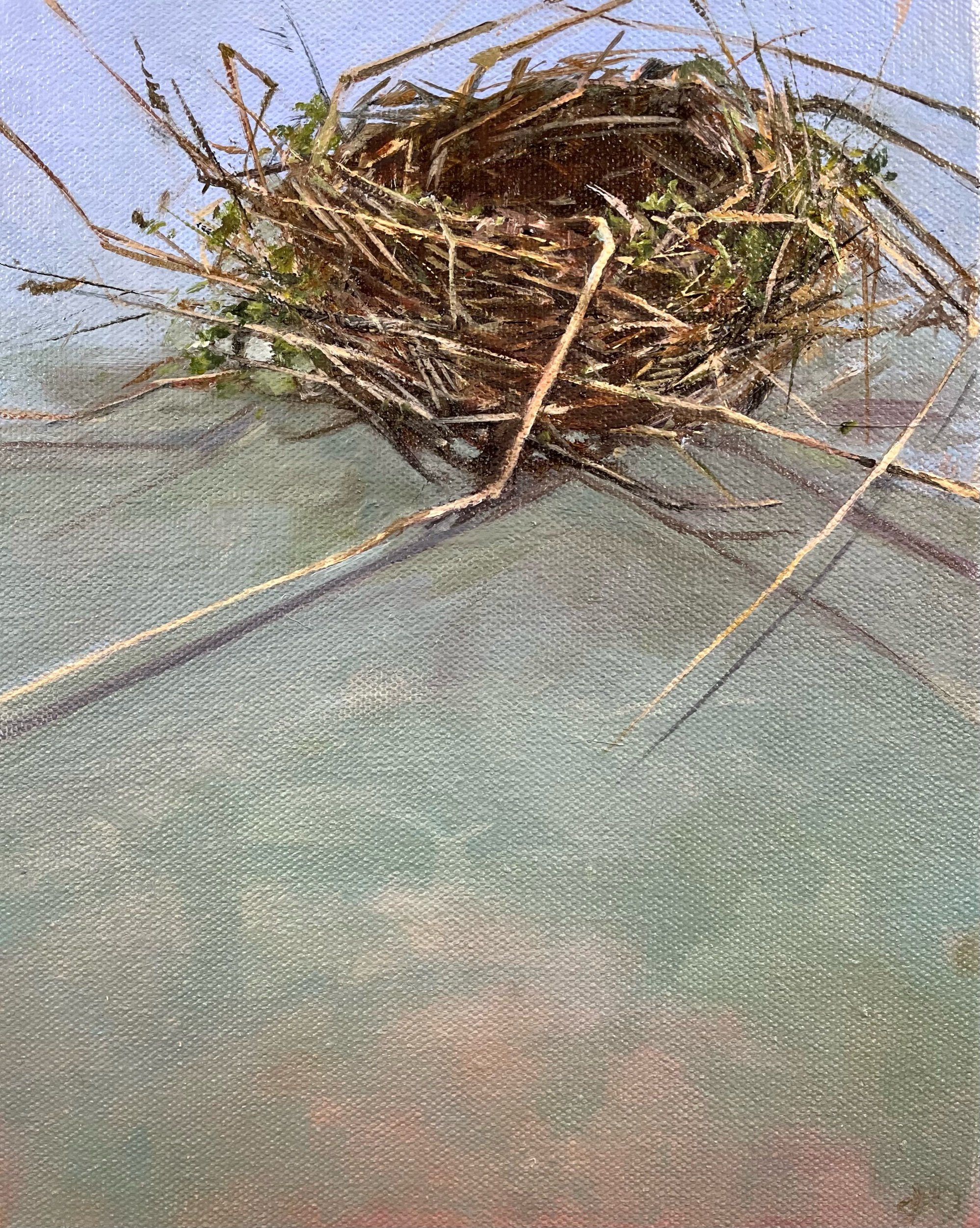 Nest