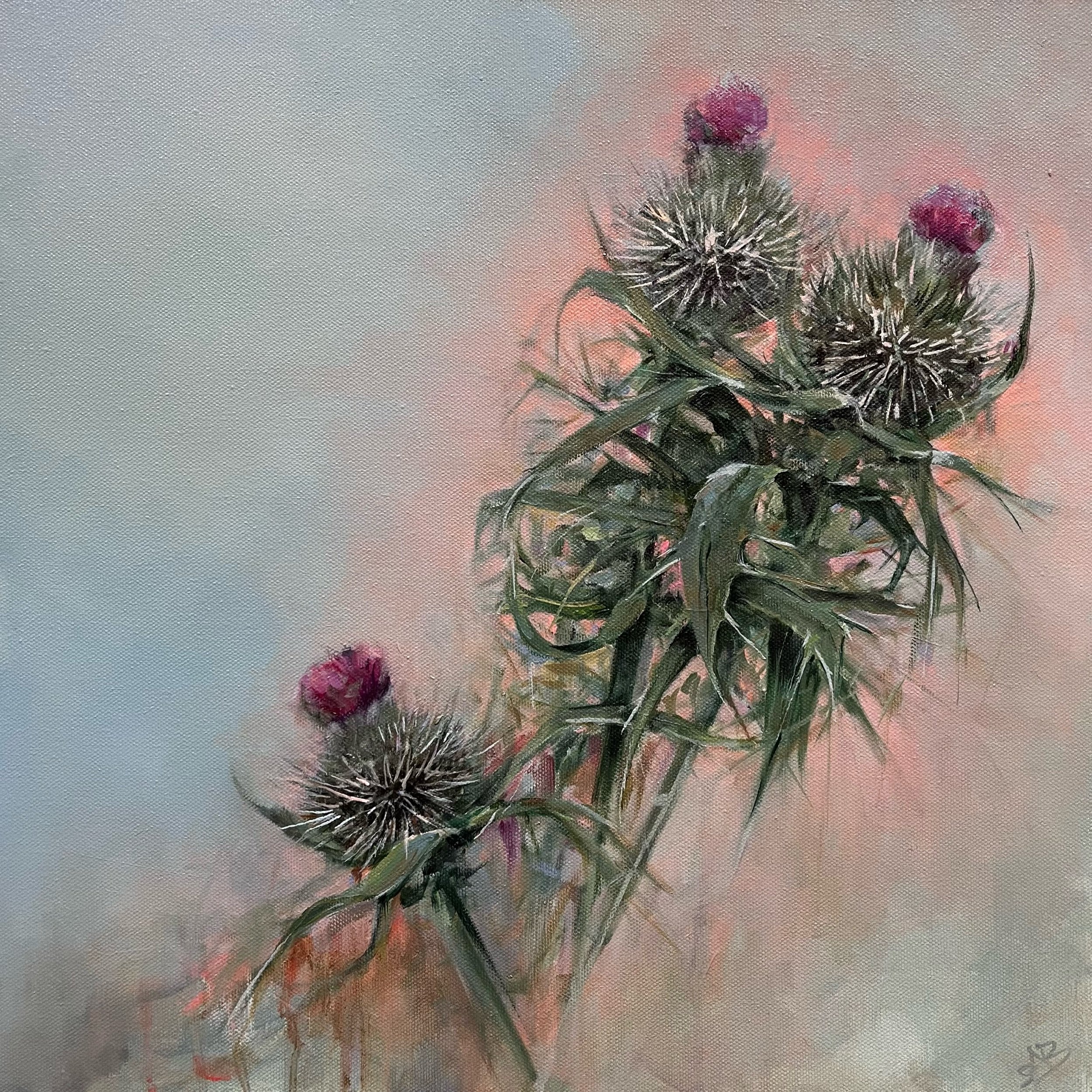 Thistles II