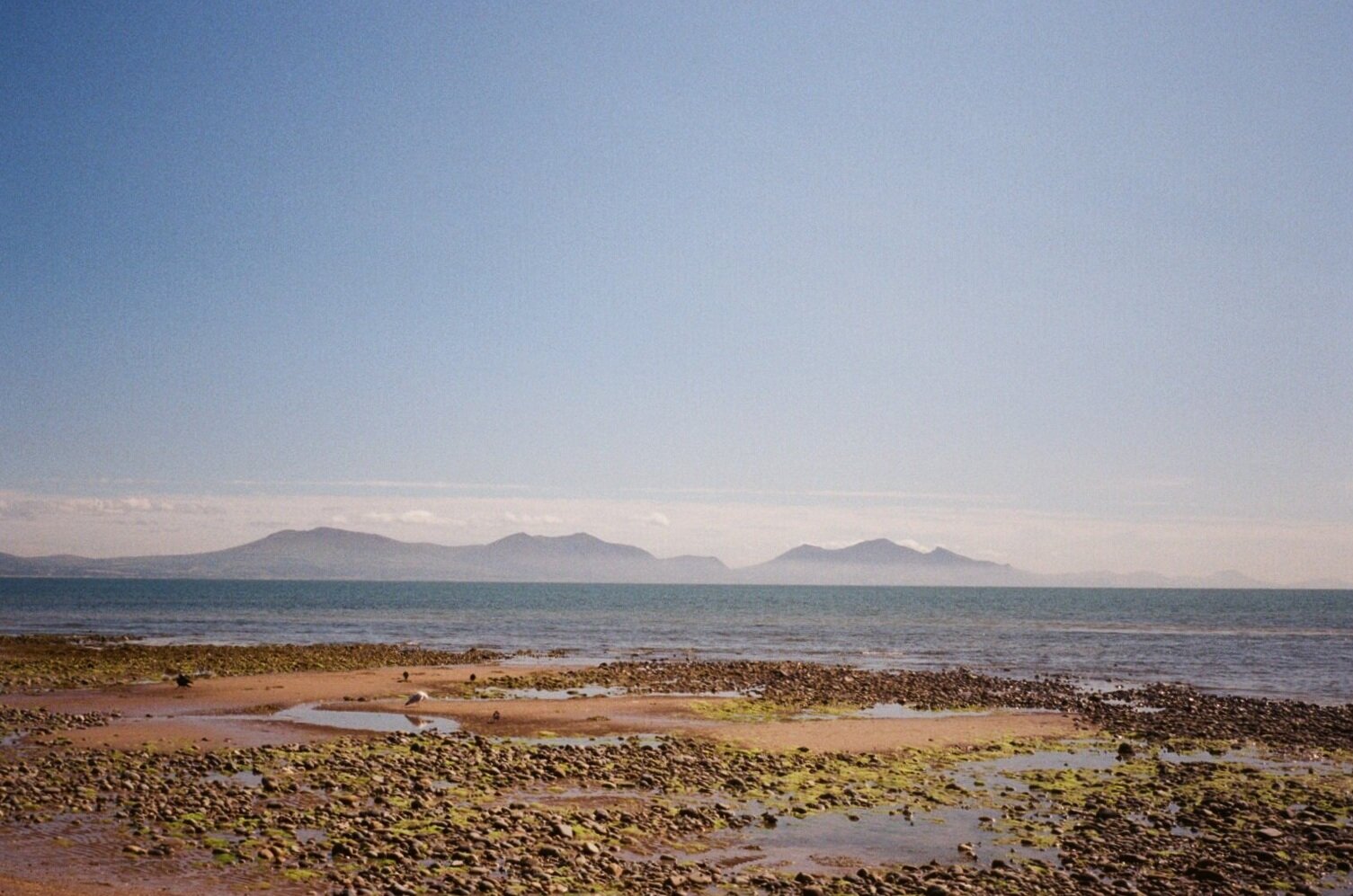 42750034.jpg