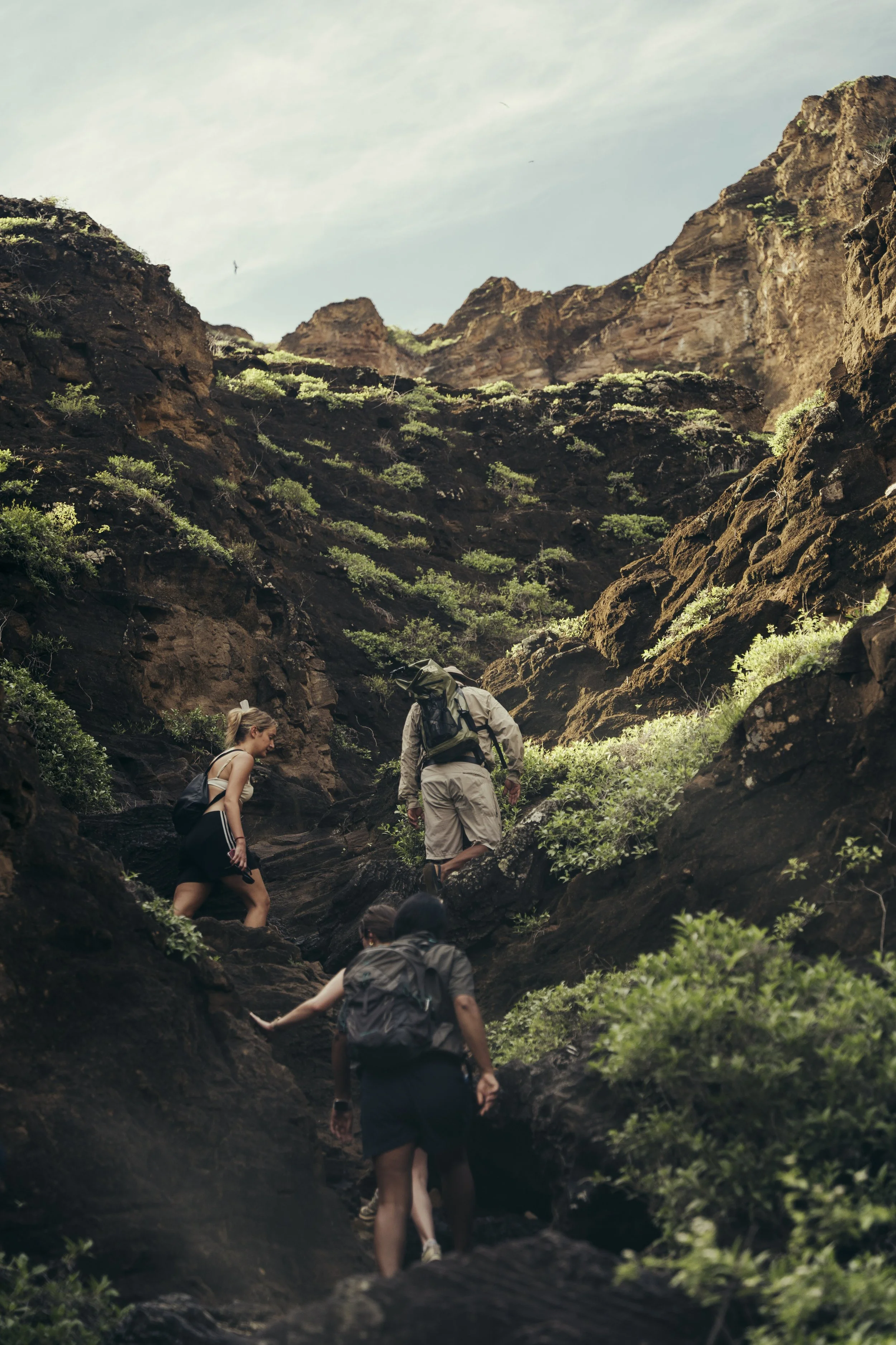 TomAllport_Galapagos_Day3-18.jpg