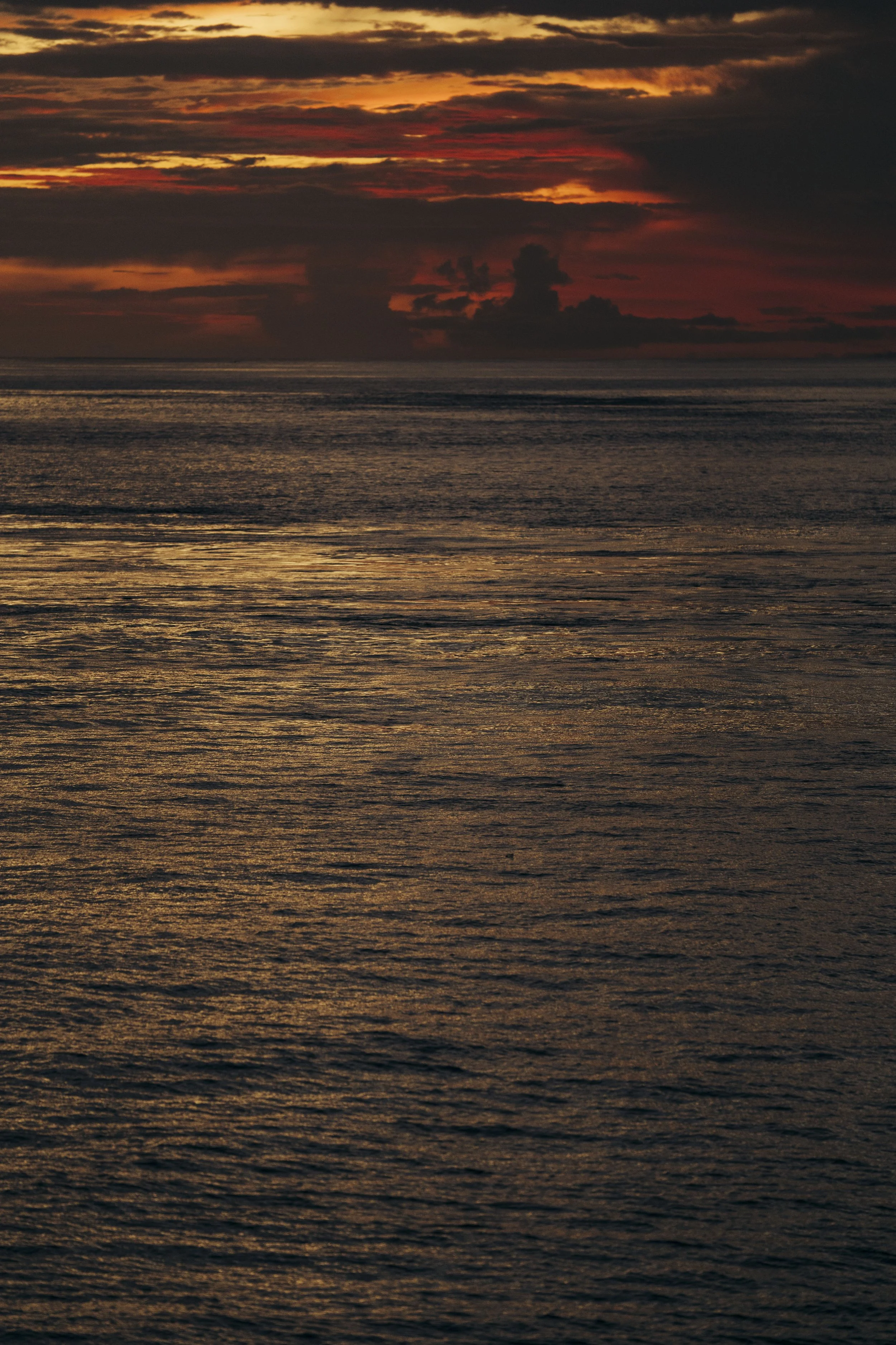 TomAllport_Galapagos_Day3-191.jpg