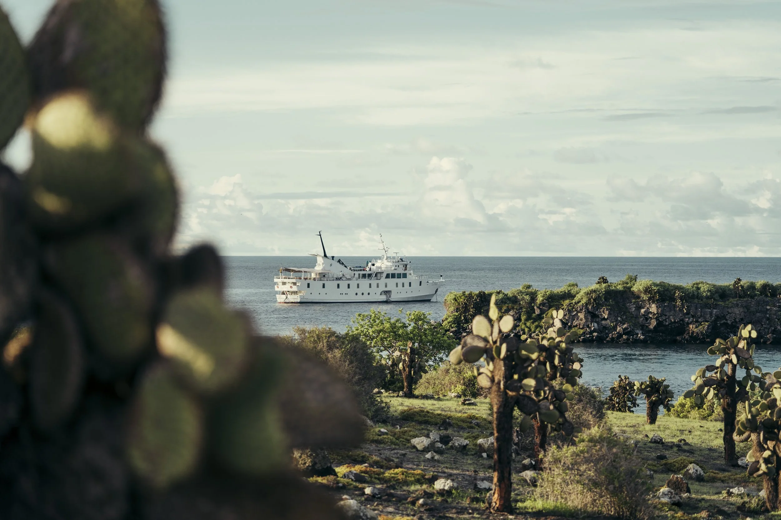 TomAllport_Galapagos_Day1-69.jpg