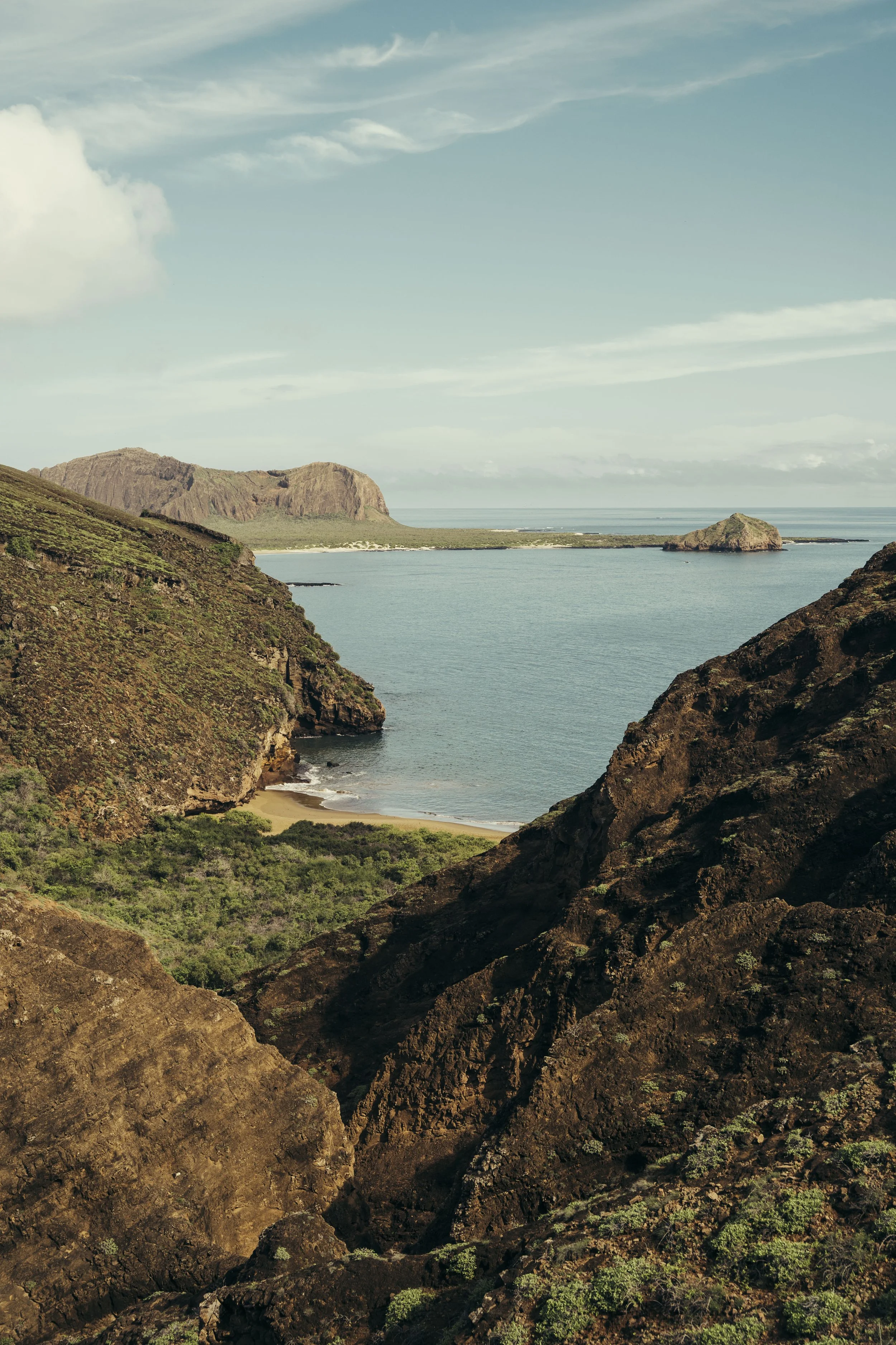 TomAllport_Galapagos_Day3-30.jpg