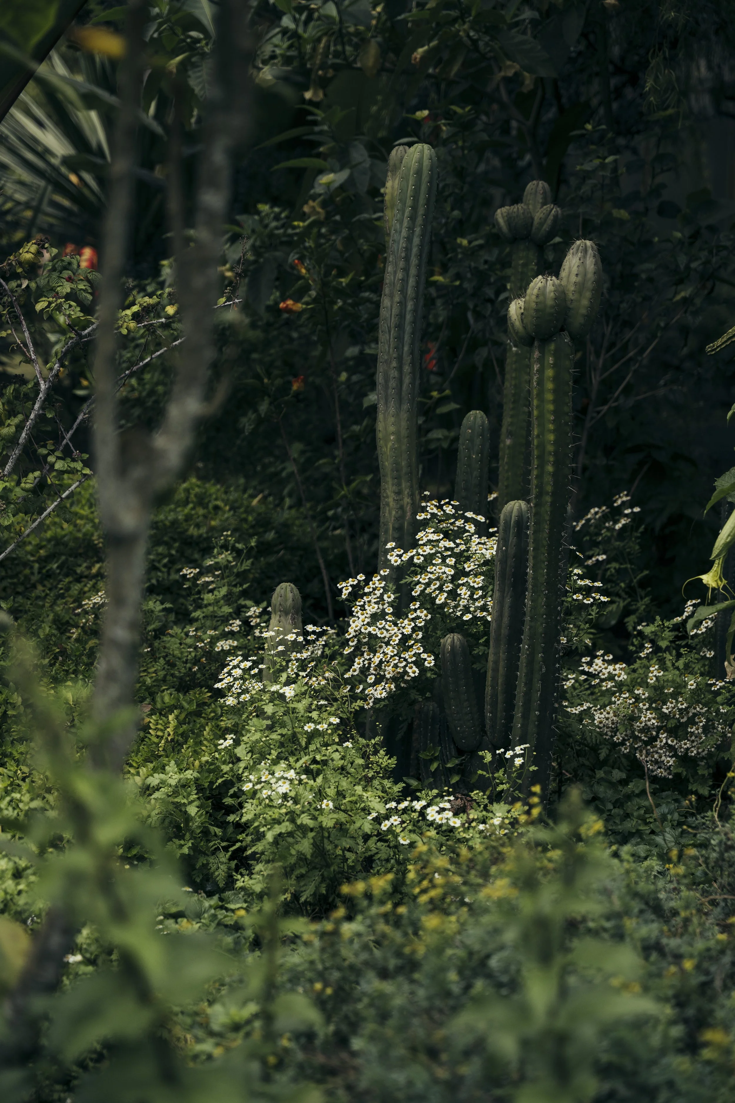TomAllport_Quito_ModernTour-72.jpg
