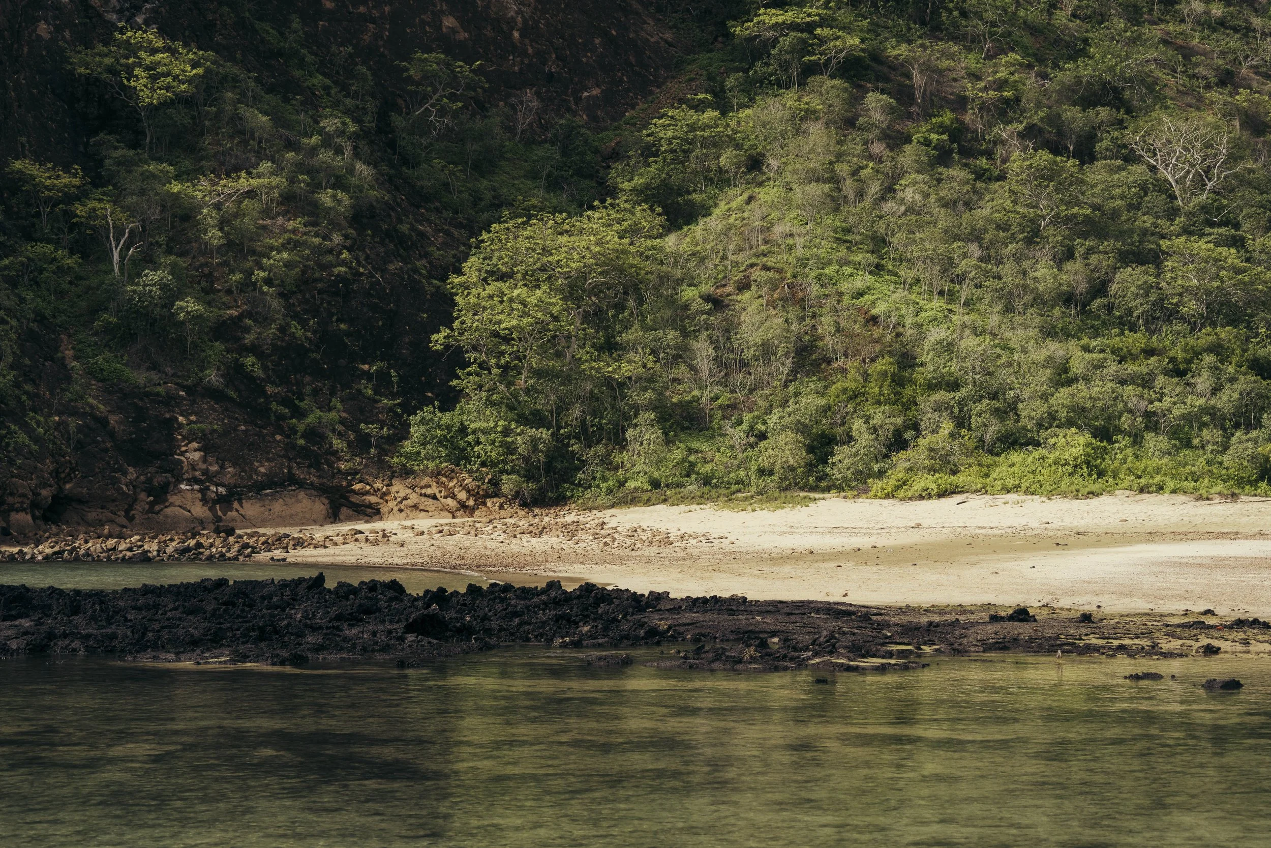 TomAllport_Galapagos_Day3-85.jpg
