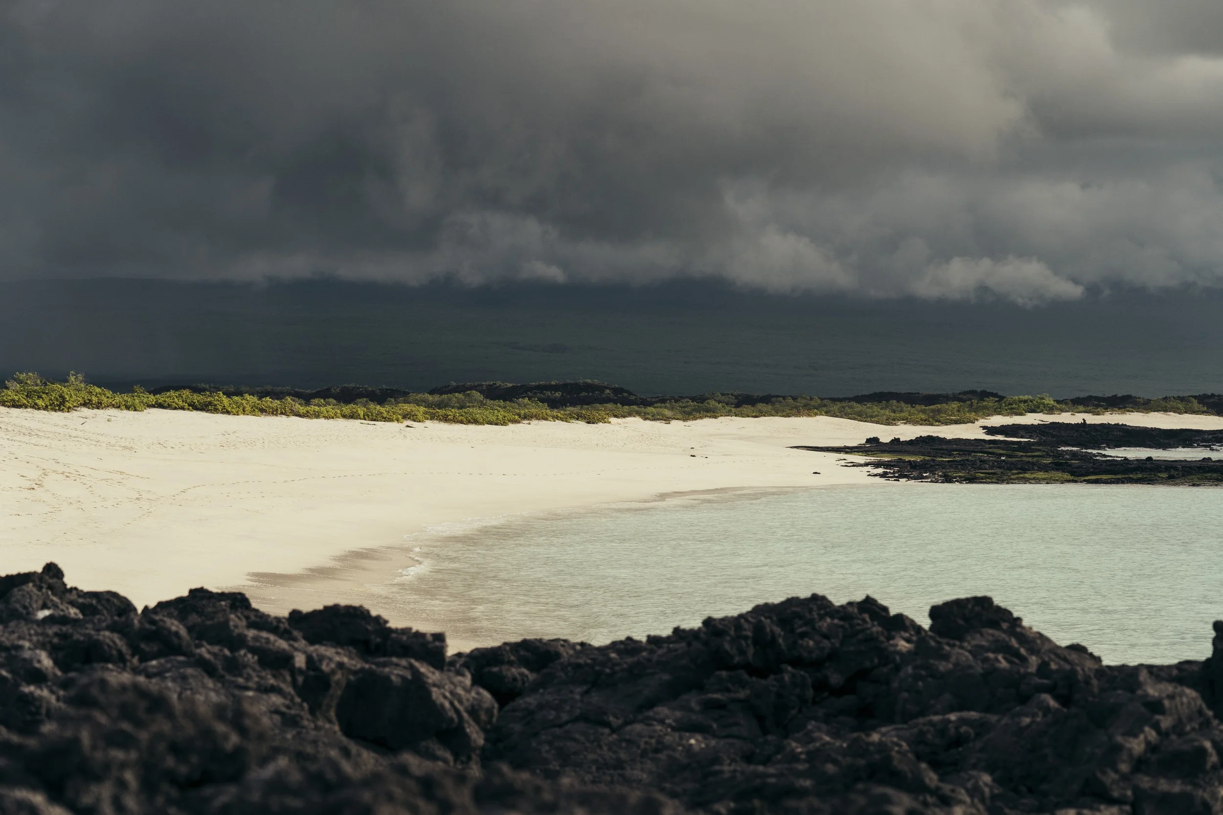 TomAllport_Galapagos_Day3-109.jpg