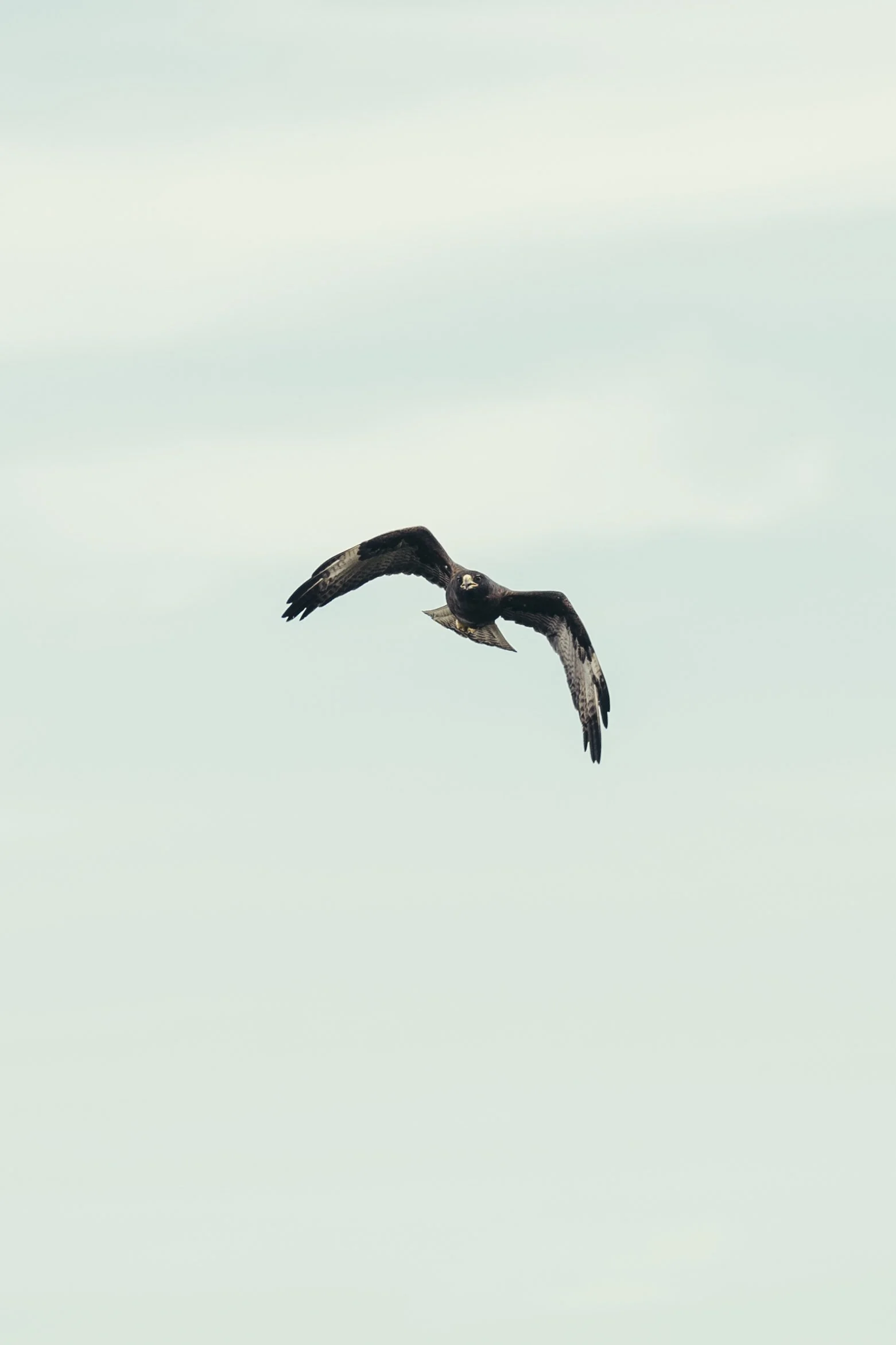 TomAllport_Galapagos_Day4-47.jpg