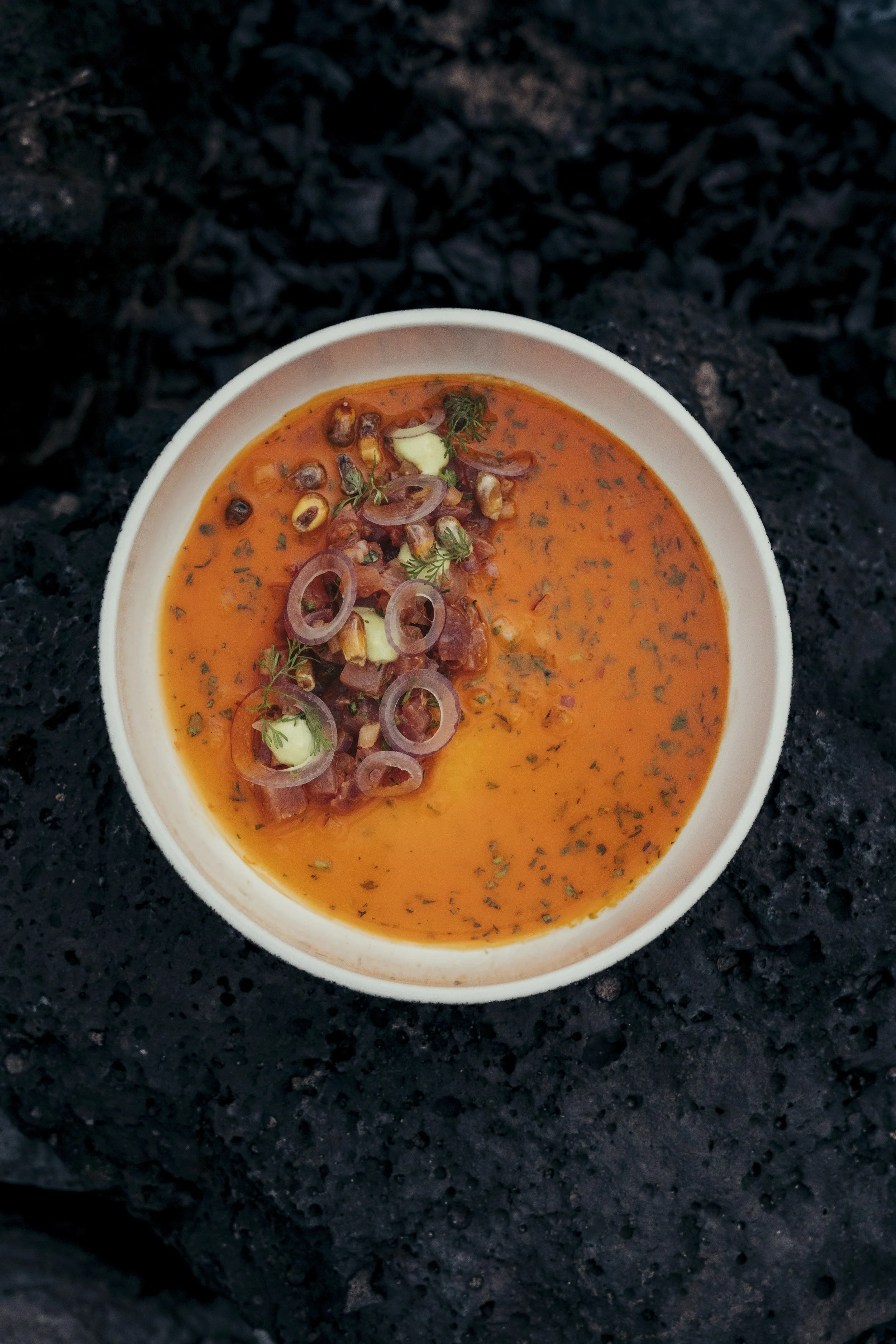 TomAllport_Finch_Food-31.jpg
