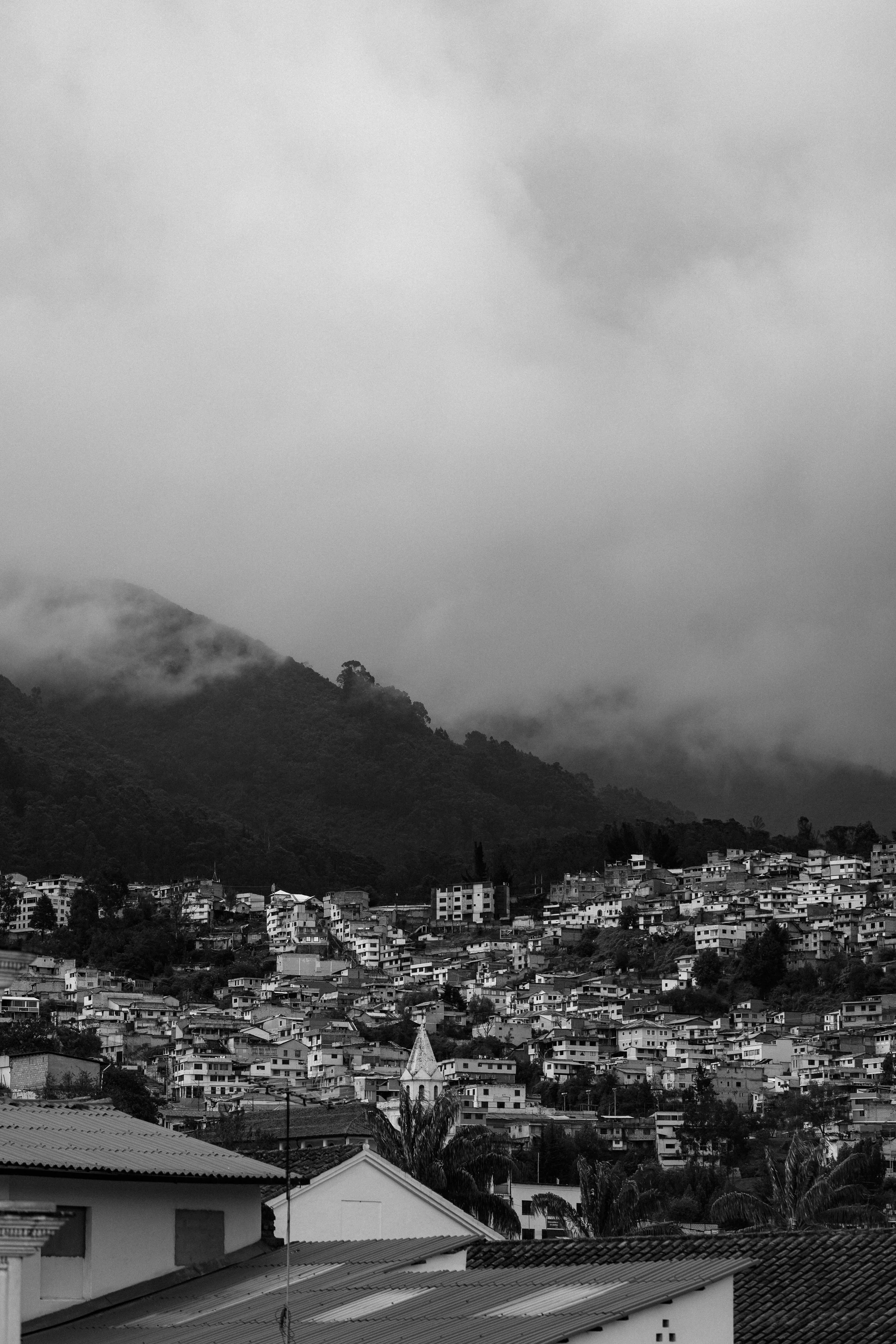 TomAllport_Quito_General-166.jpg