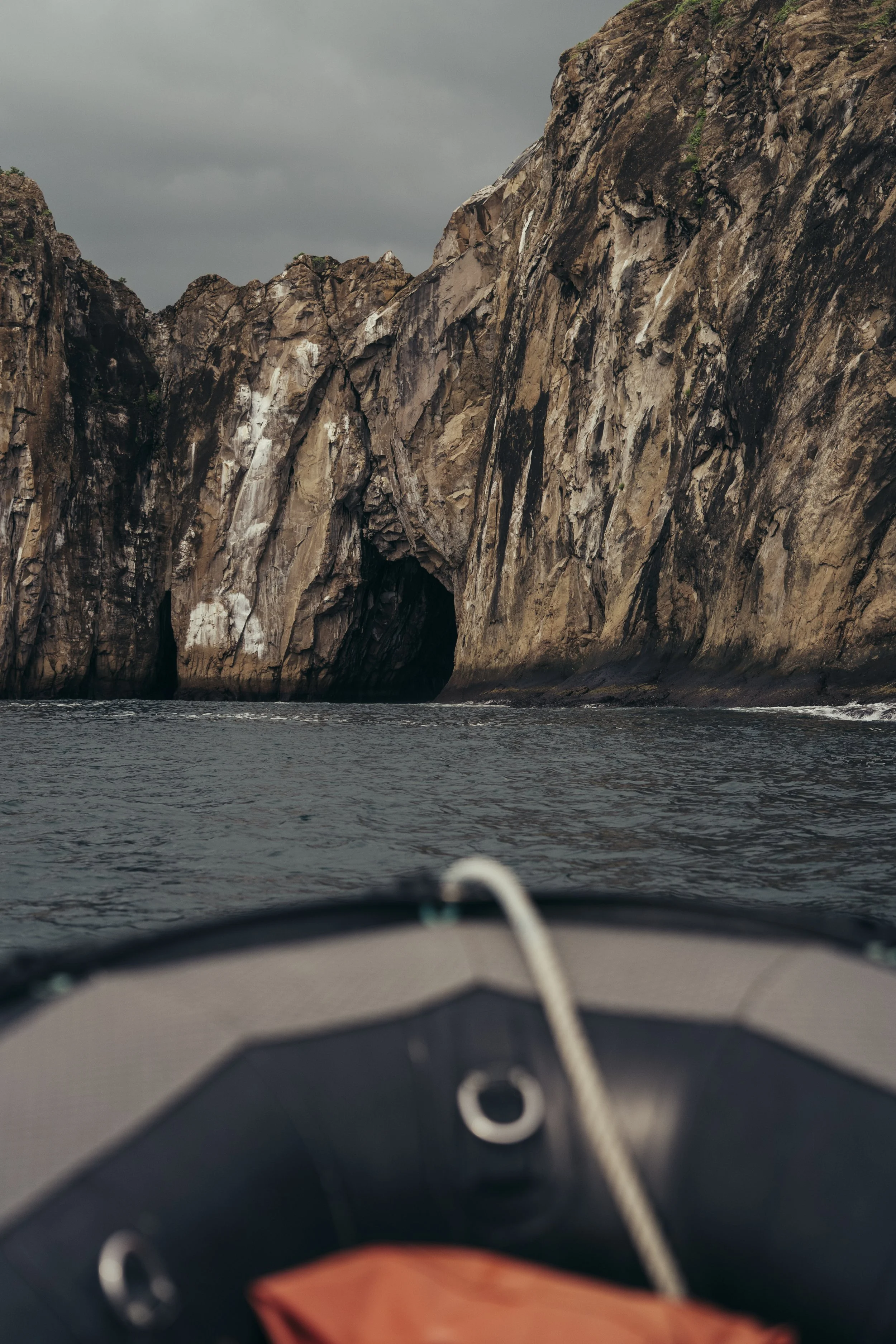 TomAllport_Galapagos_Day3-69.jpg
