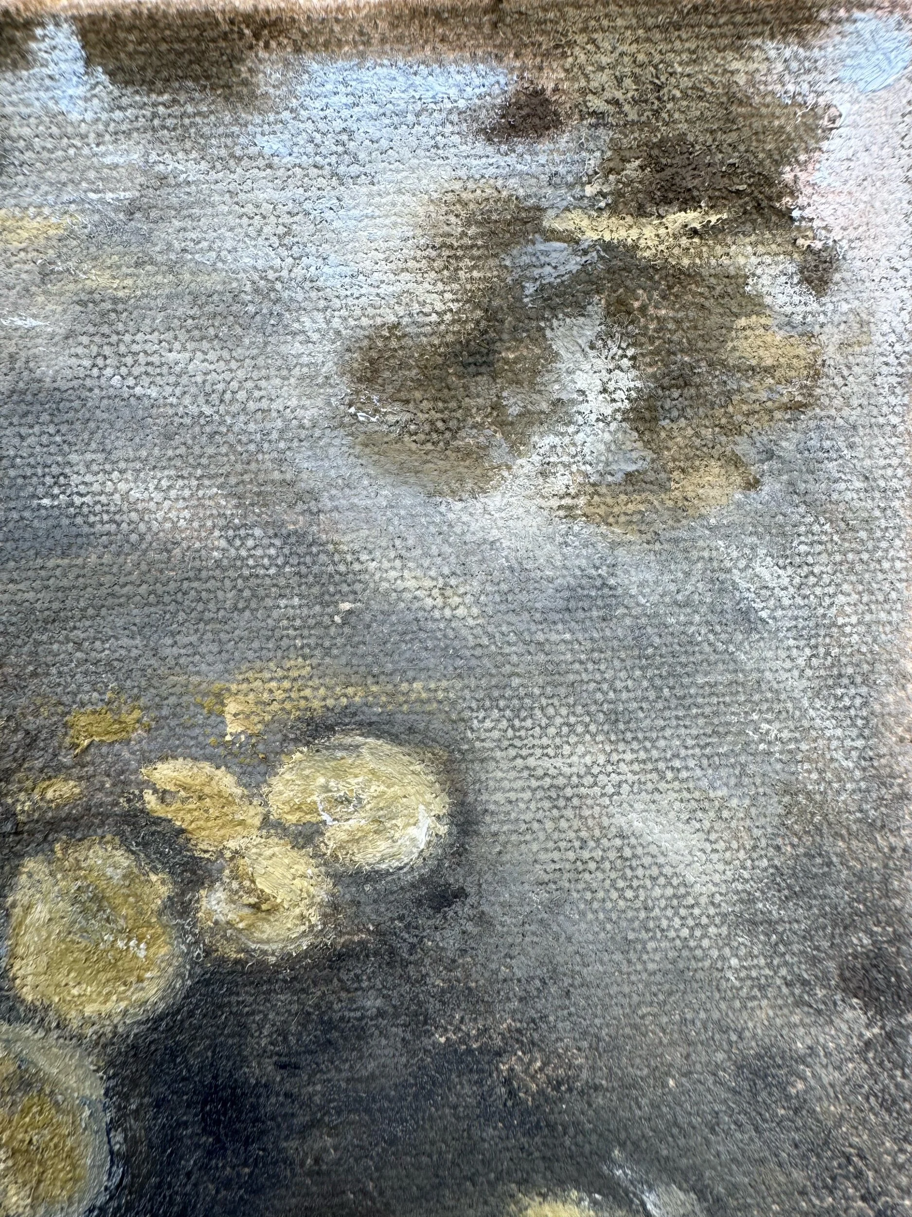 E5C92948-E996-4025-A6DC-994E181D50EA