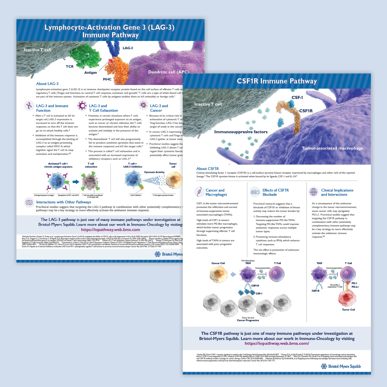 LAG-3 and CSF1R factsheets