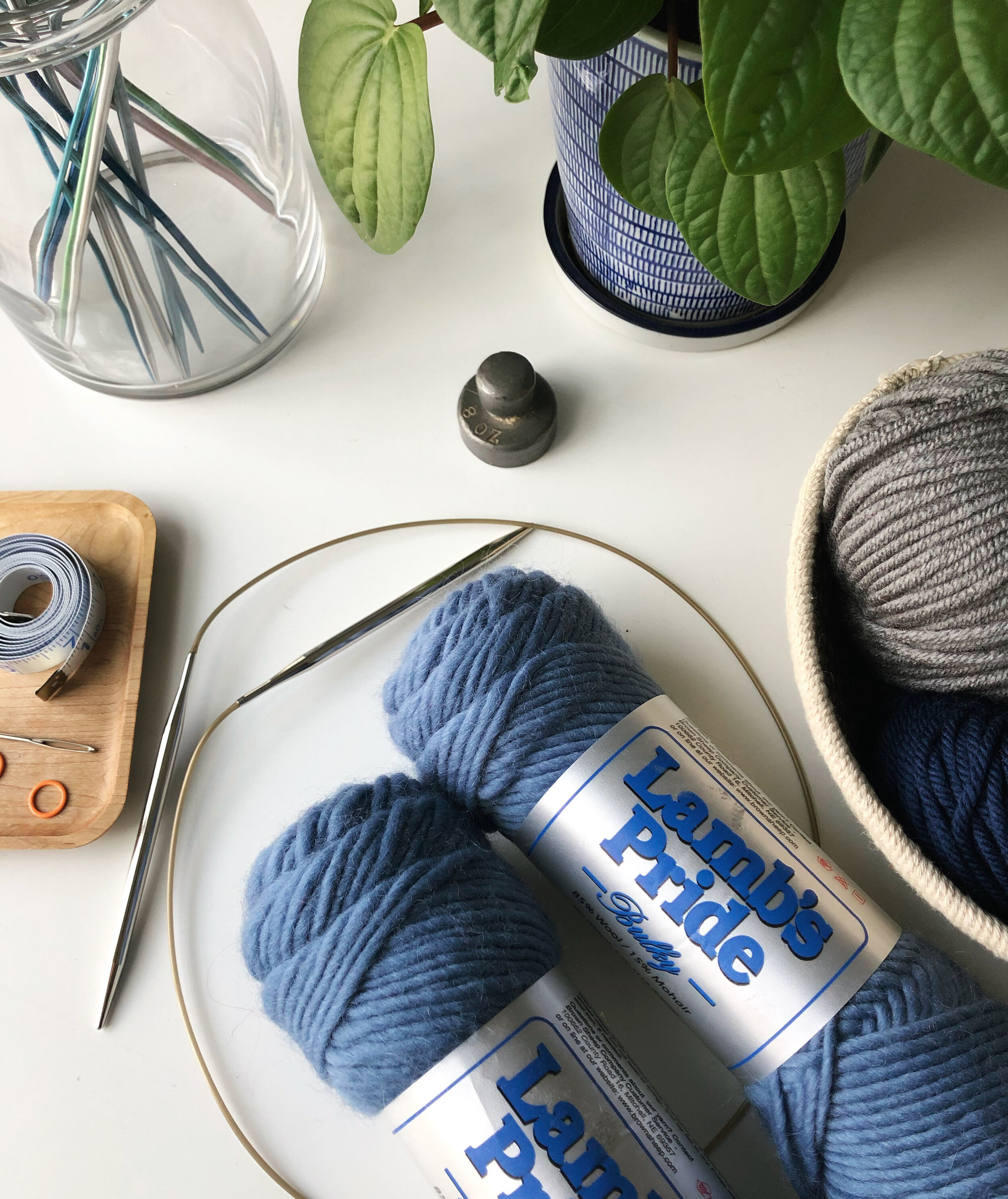 Beginning Knitting Kit (Basic) | Lamb's Pride Bulky & Knitting Instruction  Book