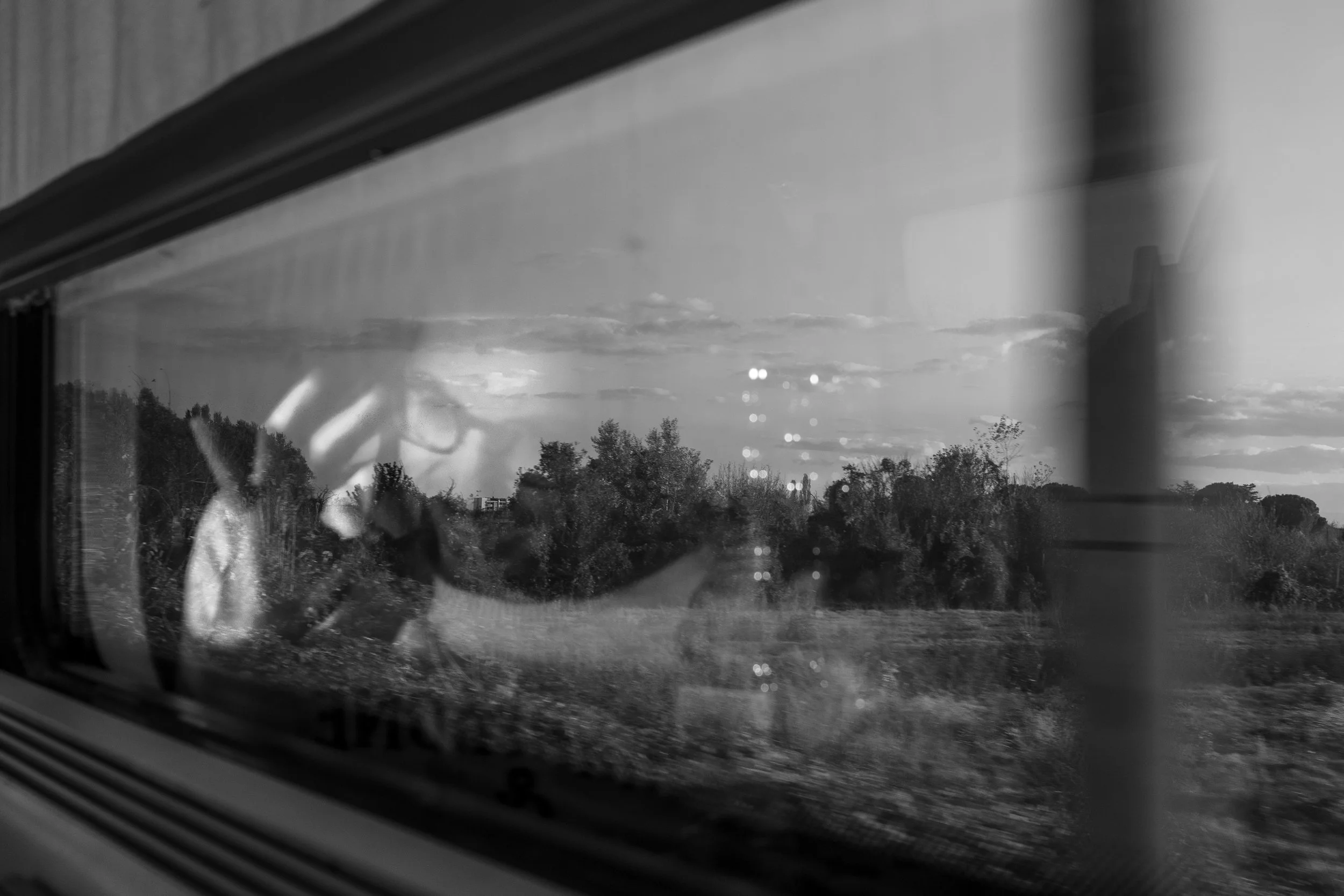 Viaggio a Pesaro