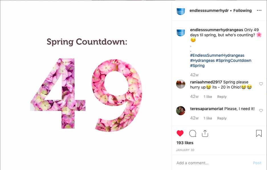 Screen Shot 2019-11-22 at 10.37.01 AM.png