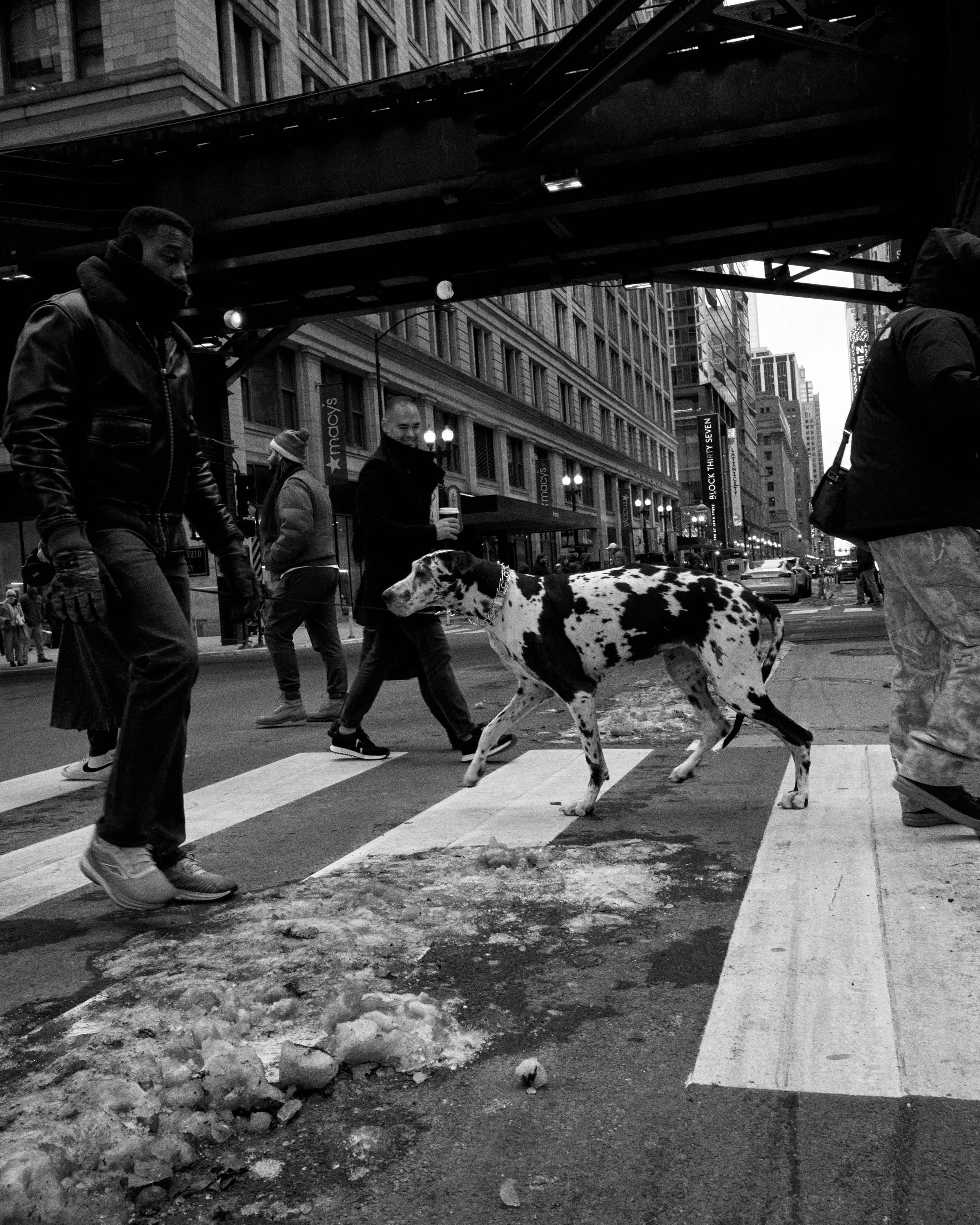 20251211-StreetPhotographyChicago-3.jpg