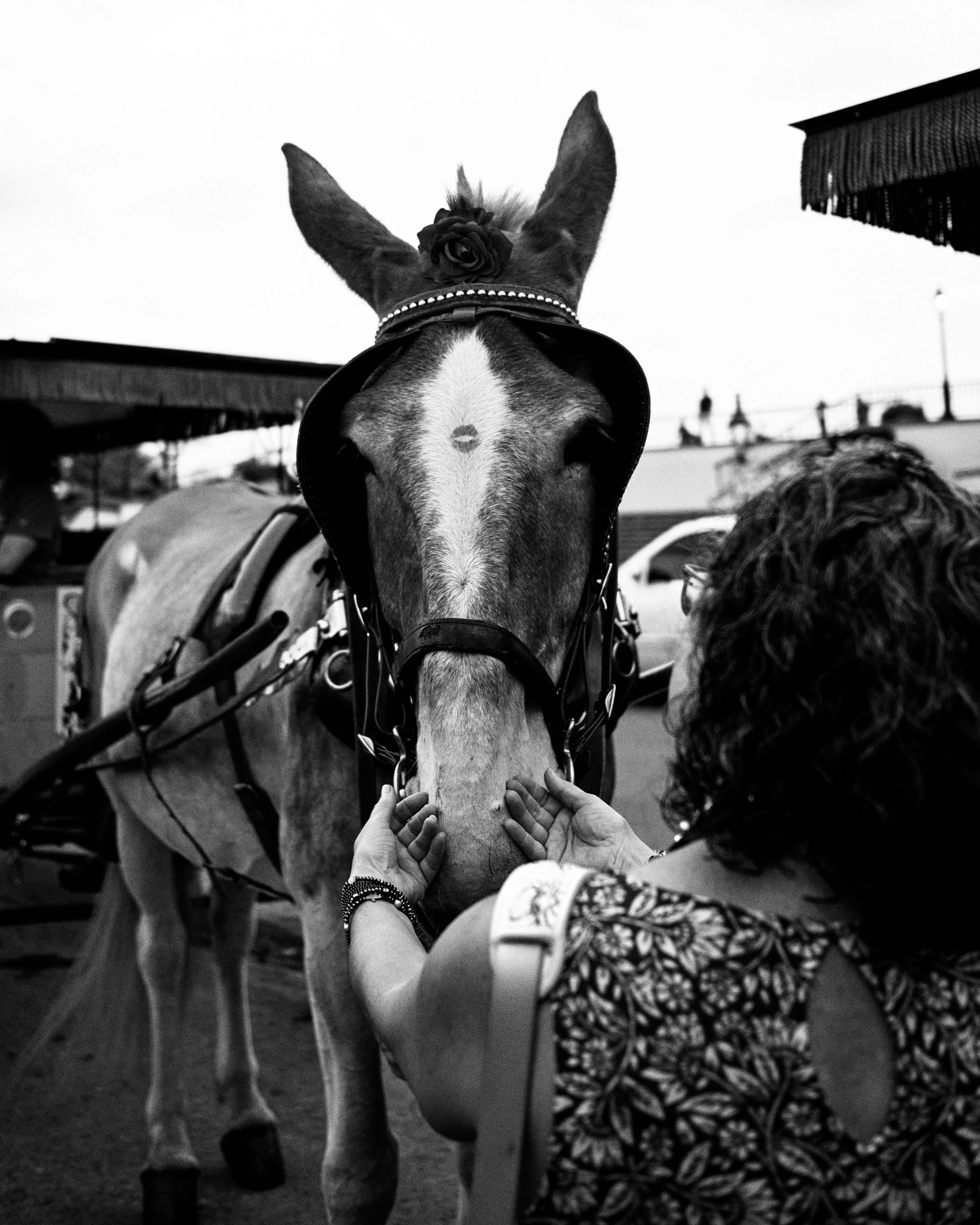 20260311_NewOrleansStreetPhotography-18.jpg