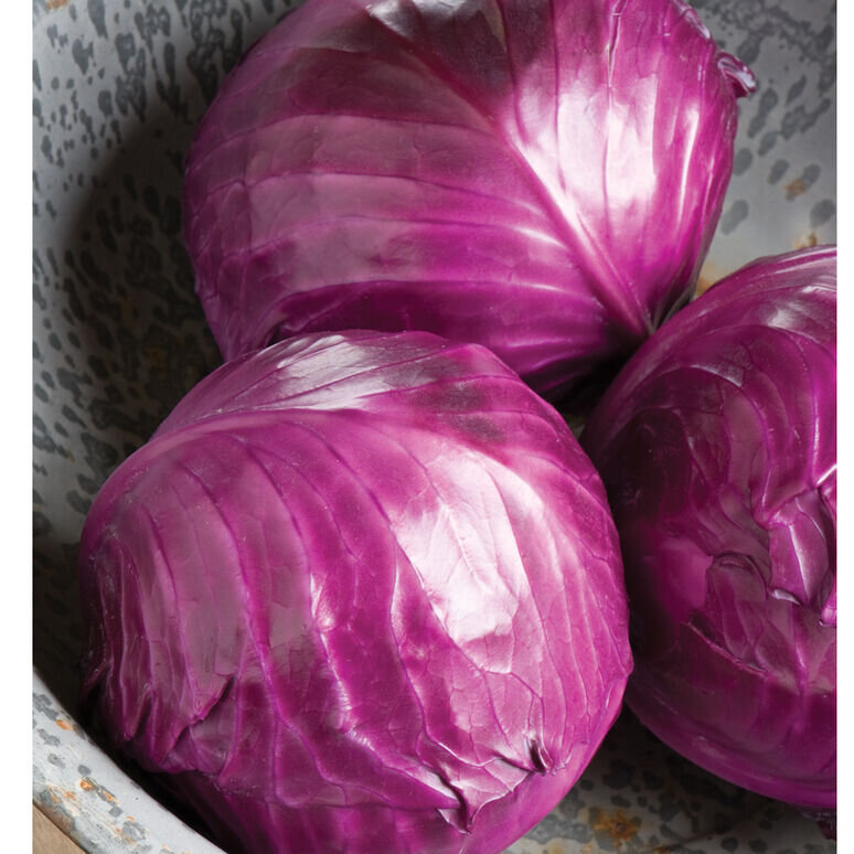redcabbage.jpg