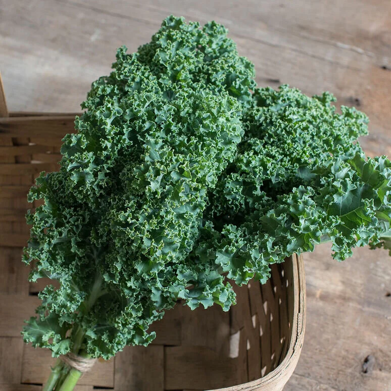 greencurlykale.jpg