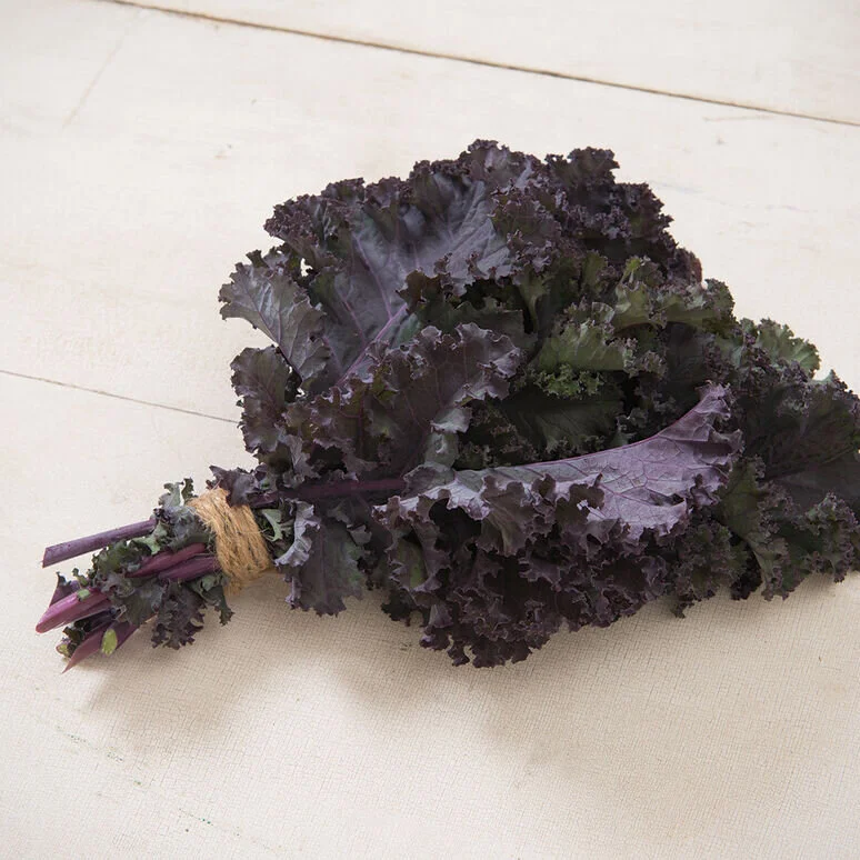 Kale - Scarlet