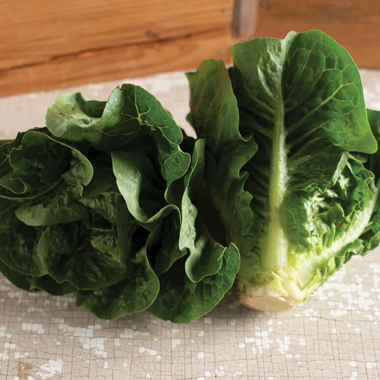 romainelettuce.jpg