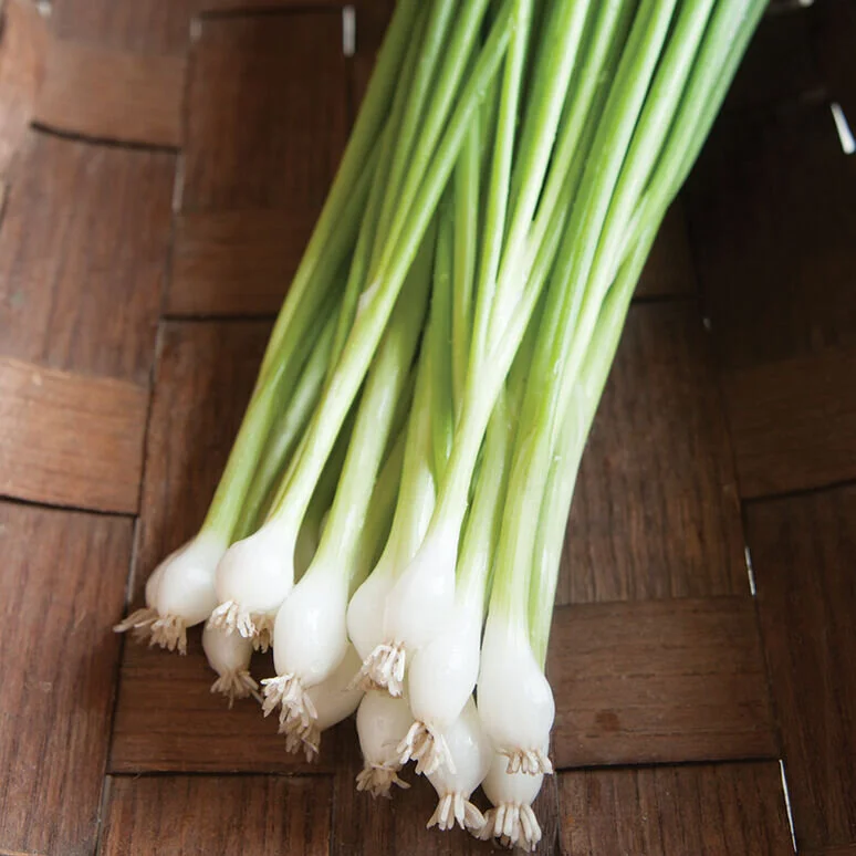 scallions.jpg