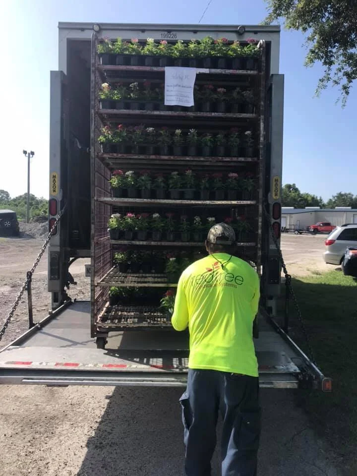 Gallery — RedTree Landscape Systems