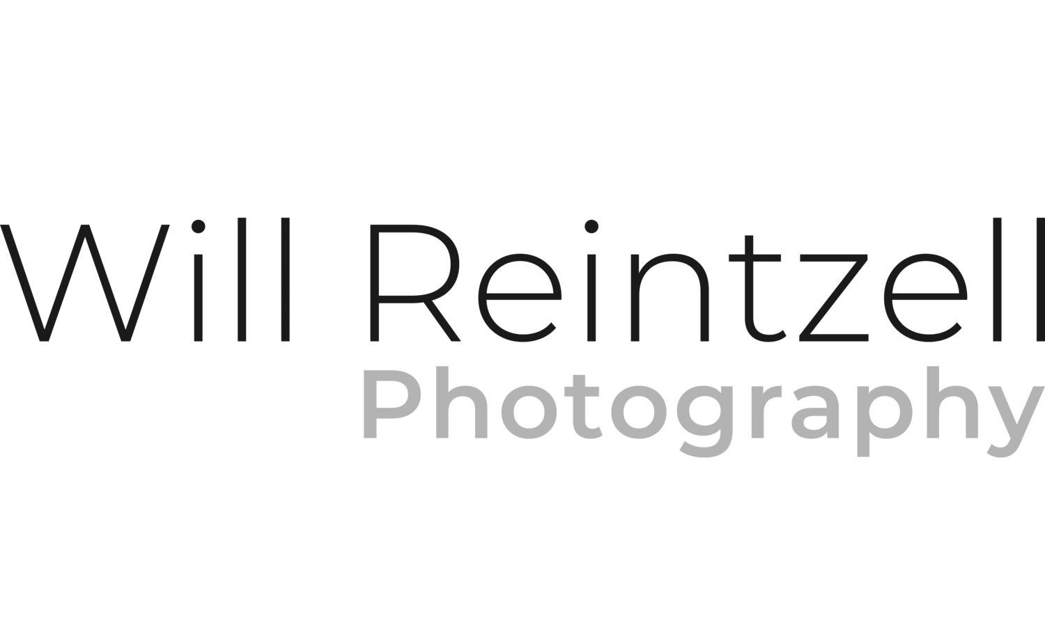 Will Reintzell Photography - Northern Virginia Headshots & Portraits 