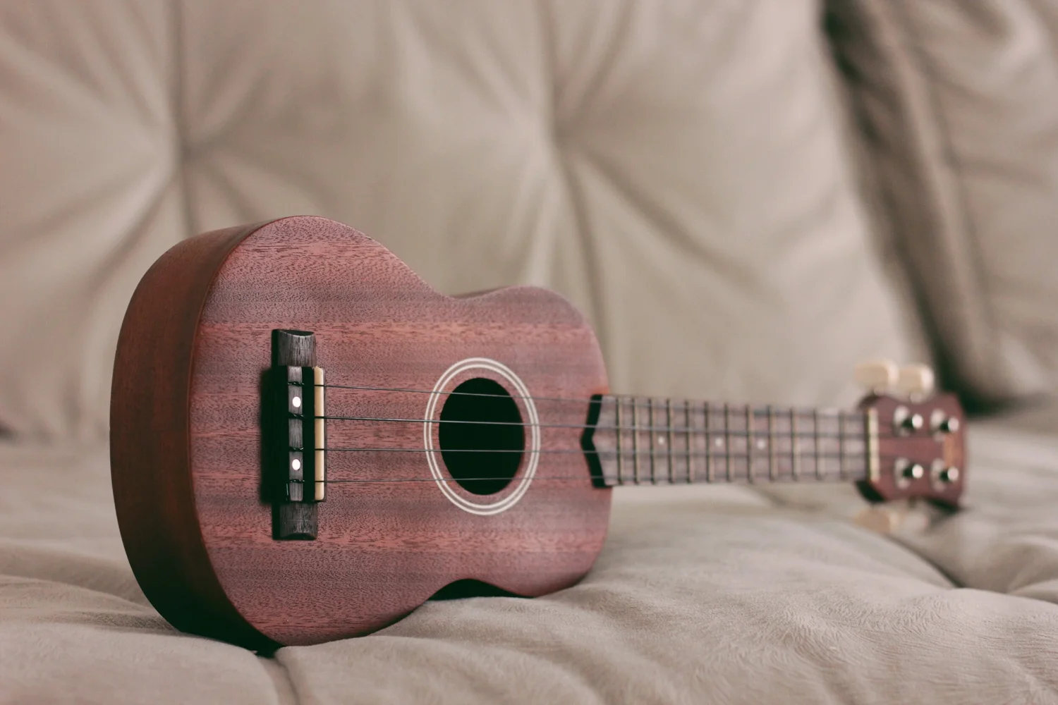 Ukulele Lessons in Houston — River Oaks Music School