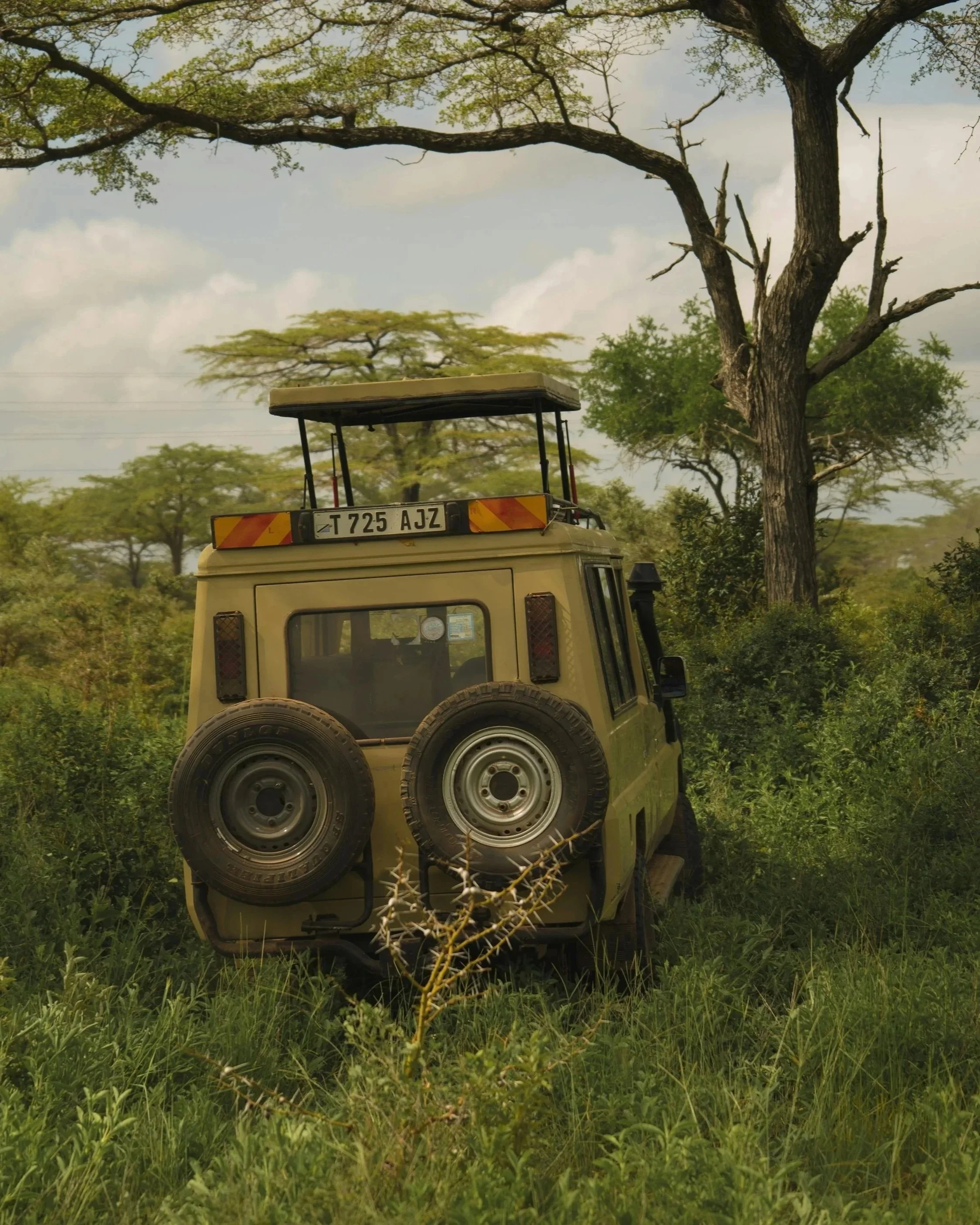 Page 2: Exploring Tanzania