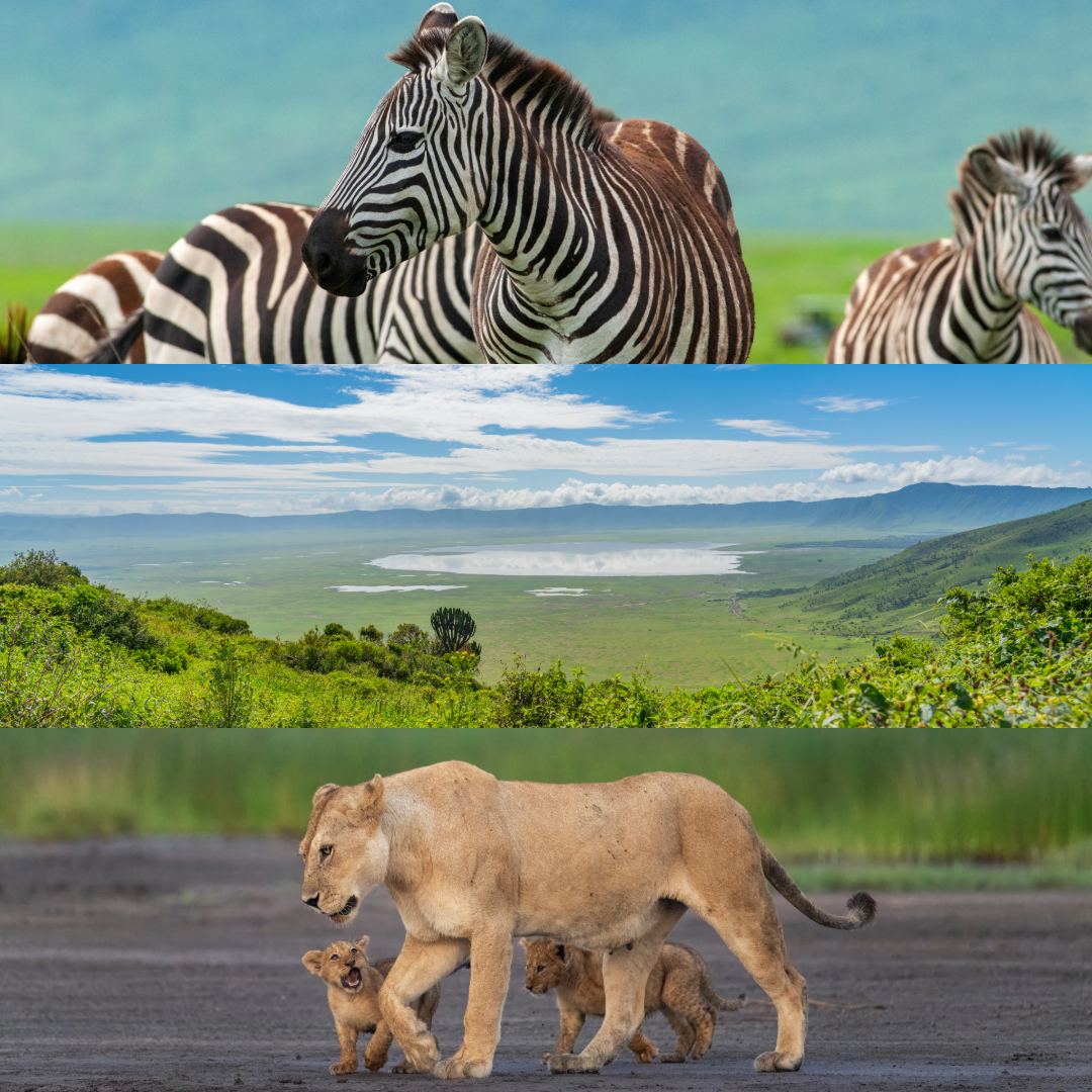 Page 7: Nature's Greatest View, Ngorongoro Crater
