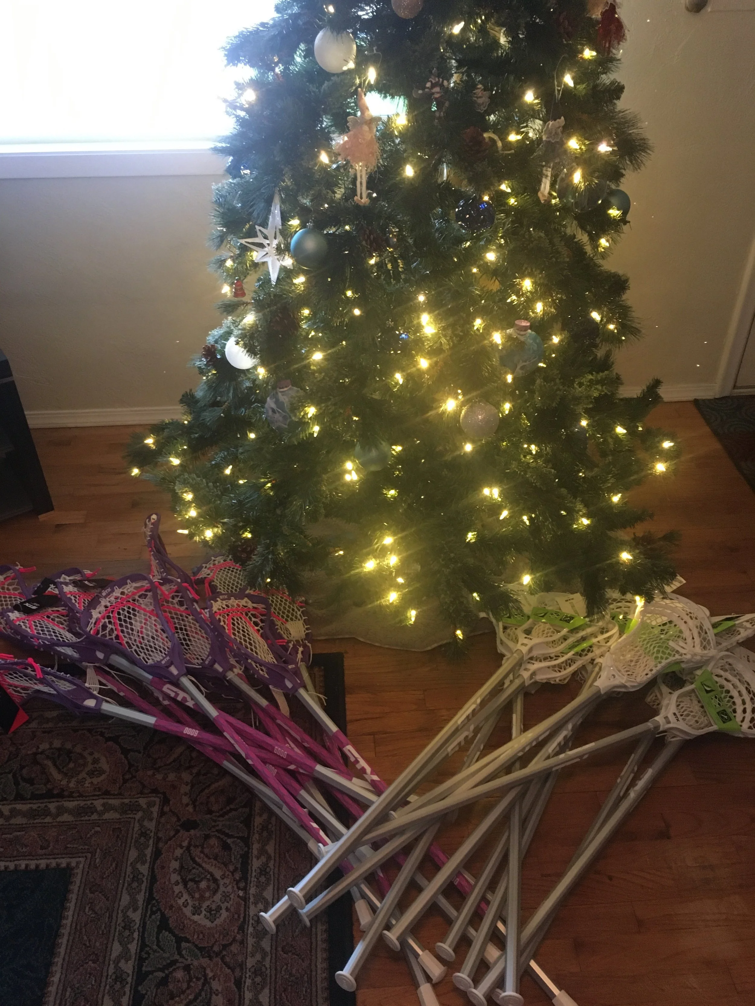 Early Christmas Courtesy of USA Lacrosse Grant