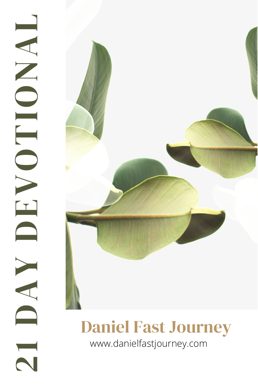 Daniel Fast Devotional Daniel Fast Journey