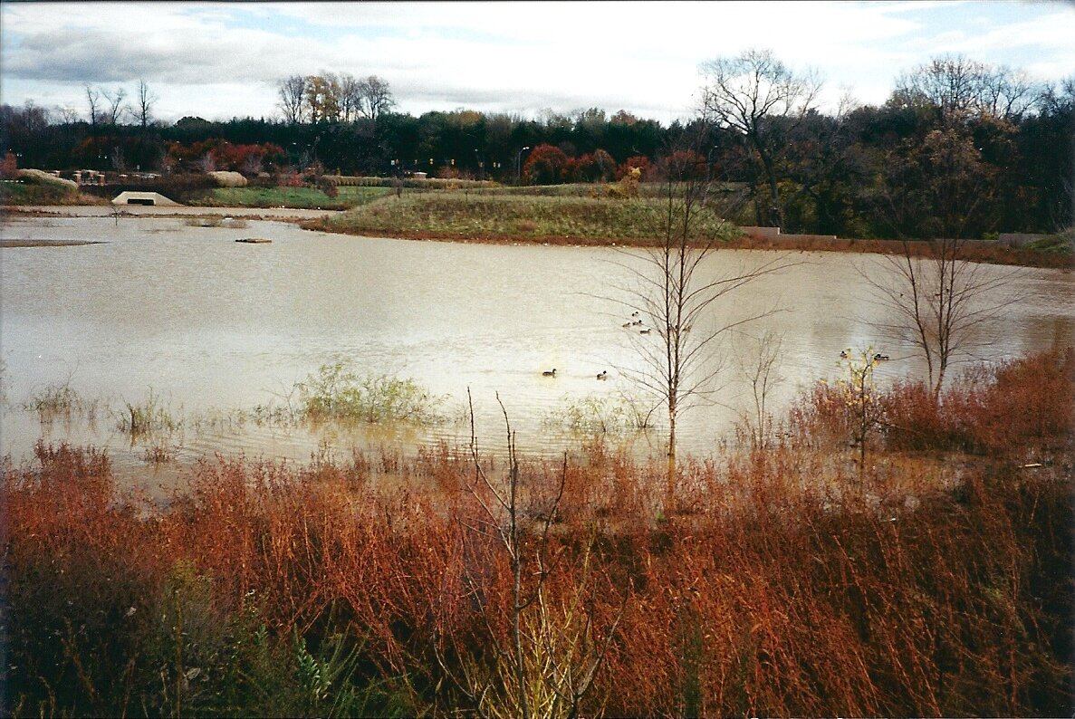 Storm Water Management