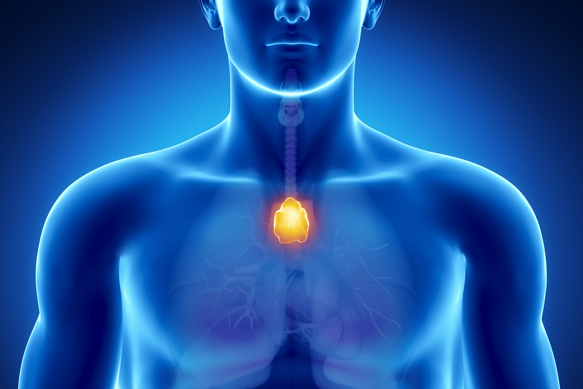 Thymic Health consequences in adults