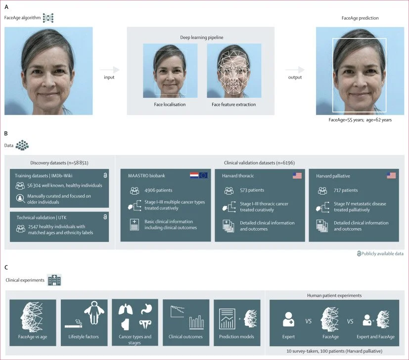 Novel AI for estimation of biological age from face photographs — AIM ...
