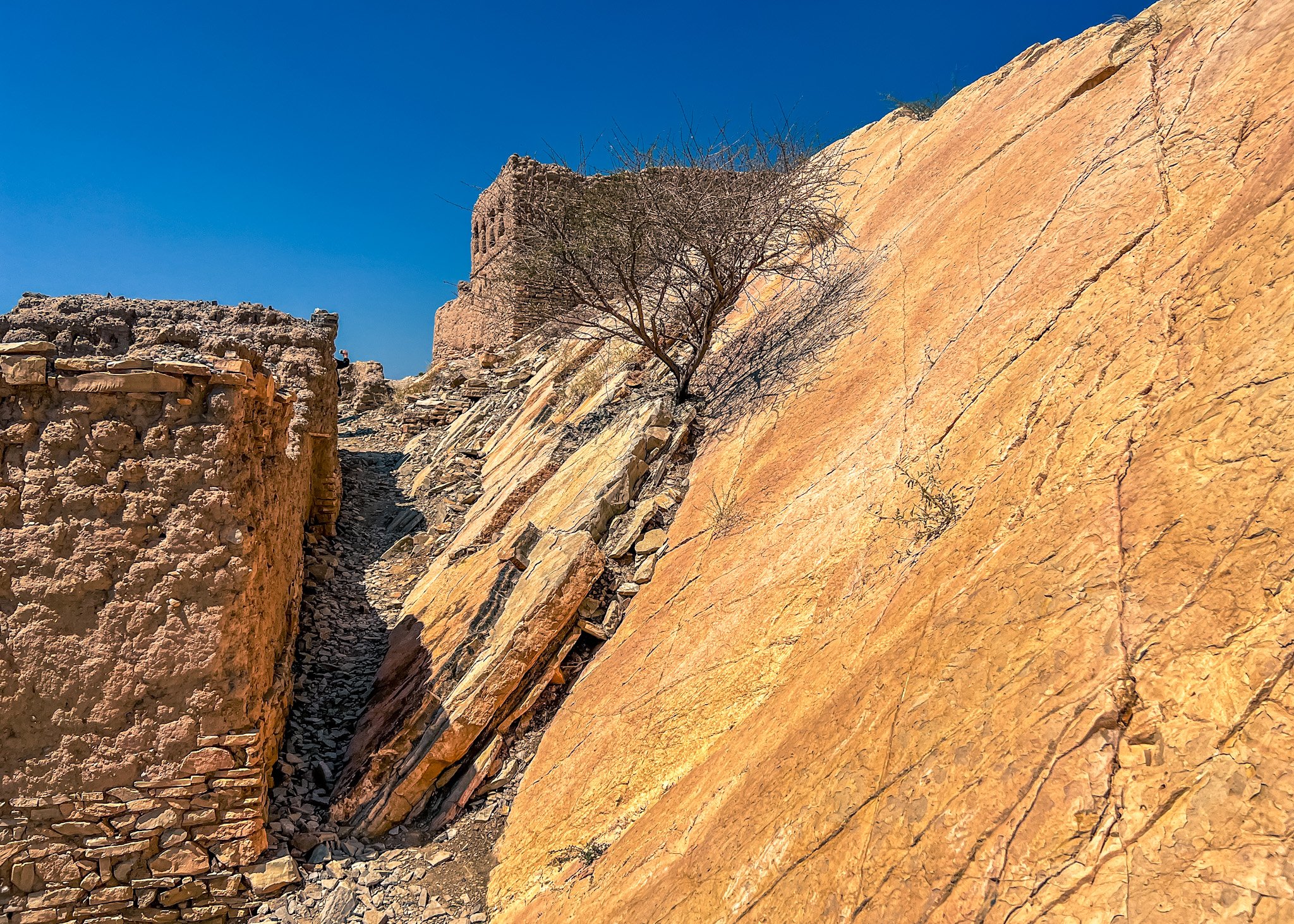 Oman 4.jpg
