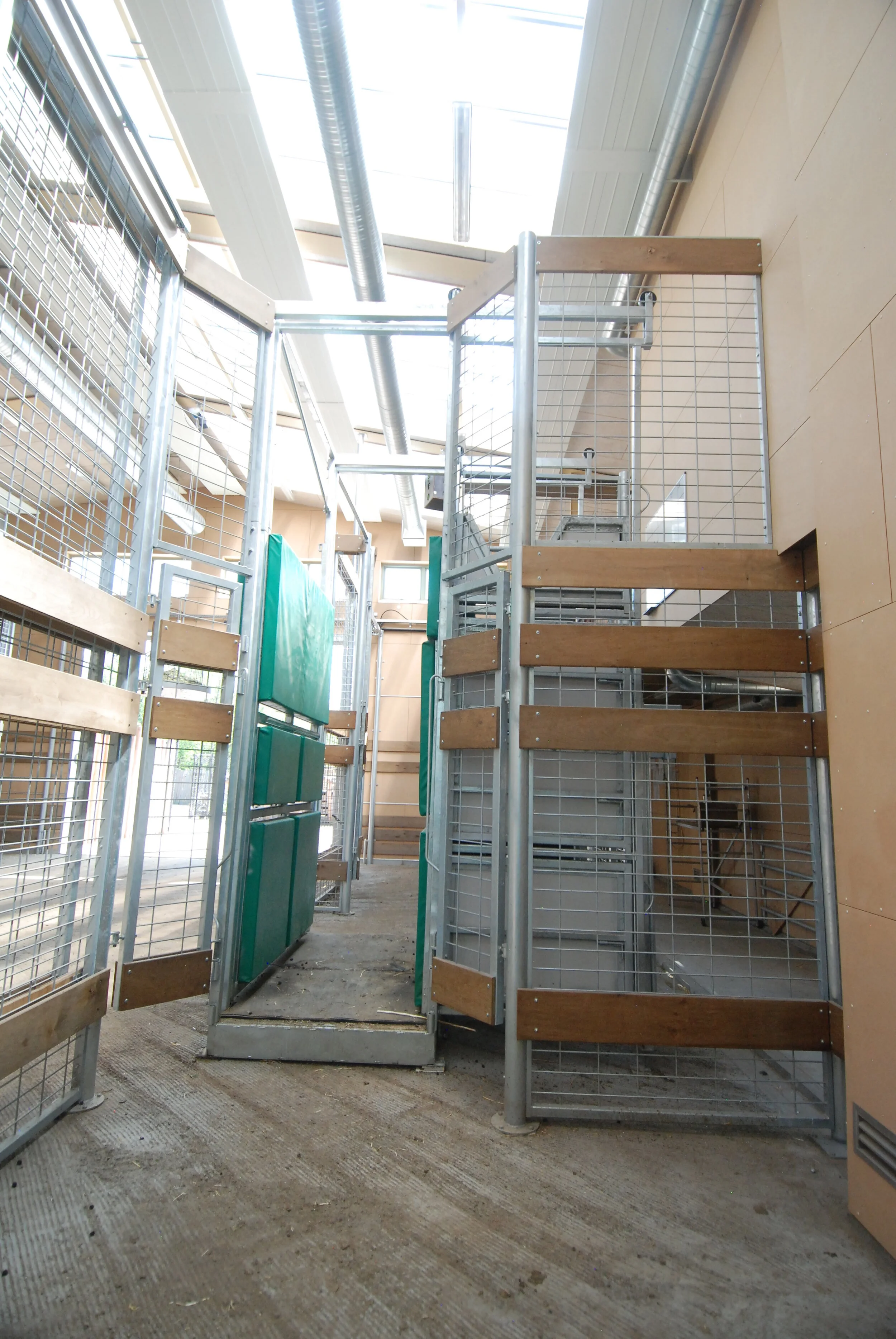 Odense Zoo Ryan Hall Design