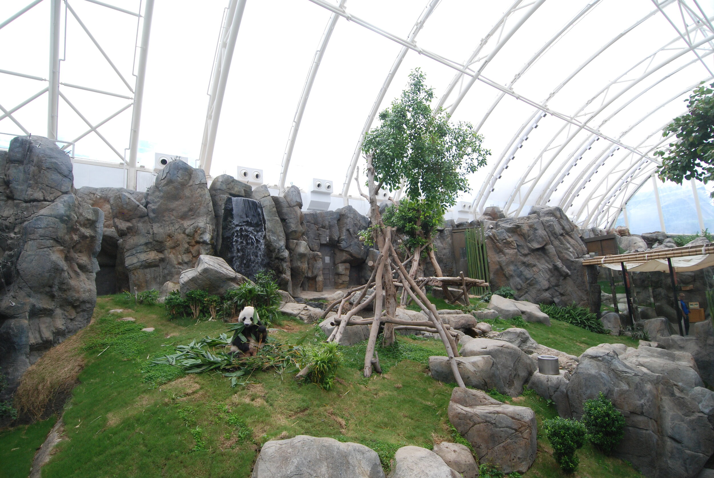 OcP-AAsia_Alpine009_Jun12.JPG