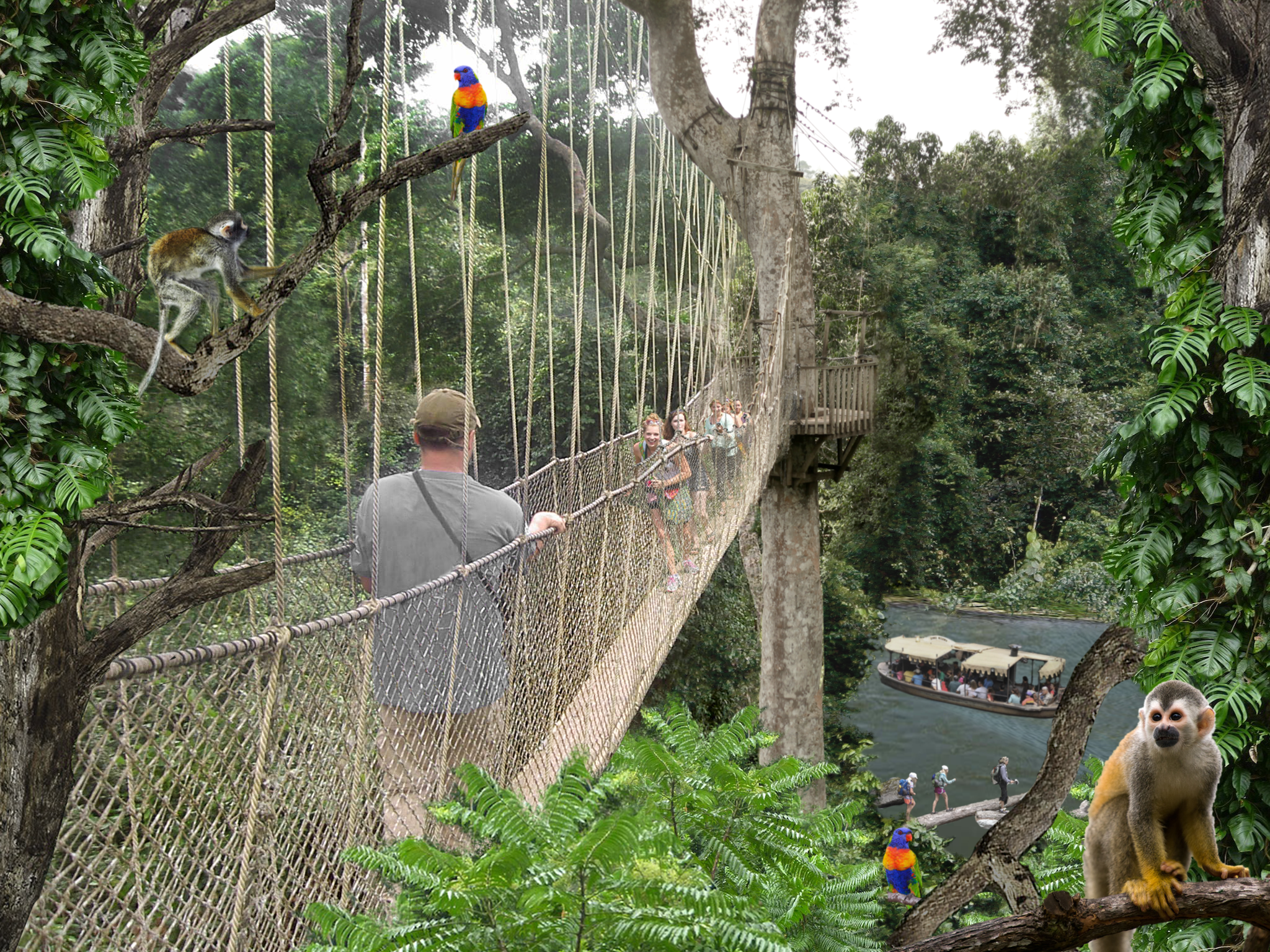 Canopy Walk.png