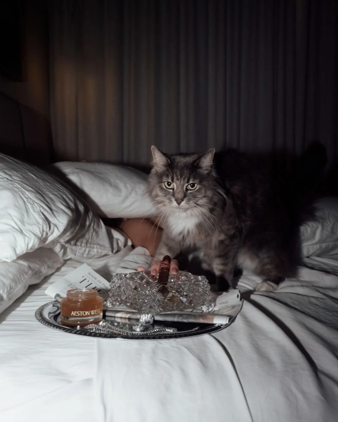 social media content example.jpg