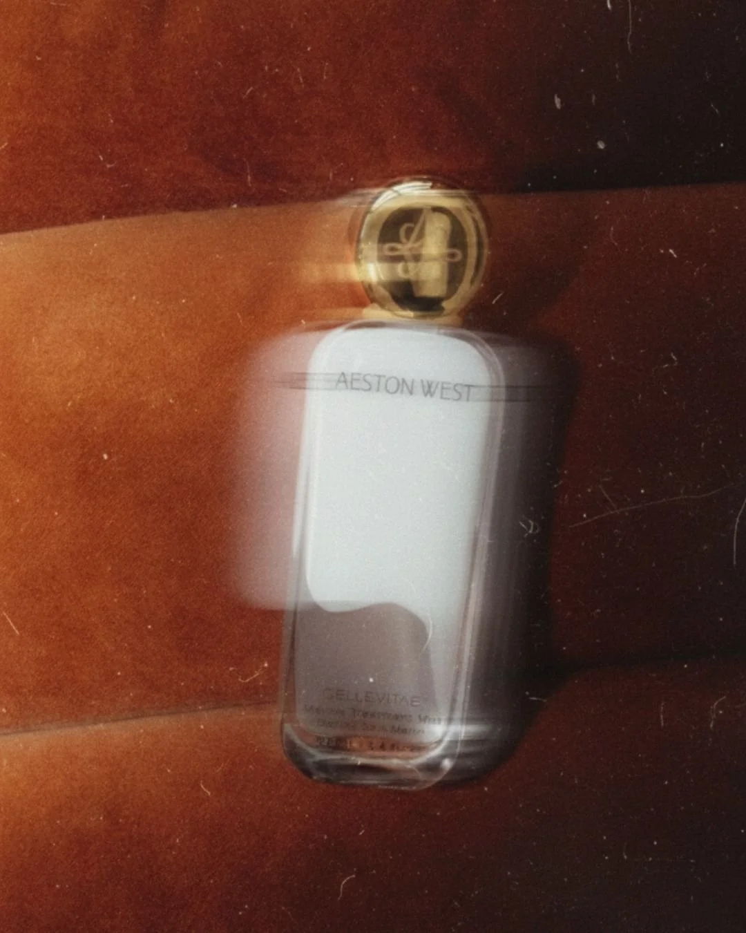 social media photohraphy for brands.jpg