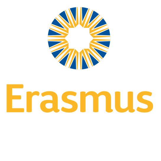 Erasmus School social media marketing