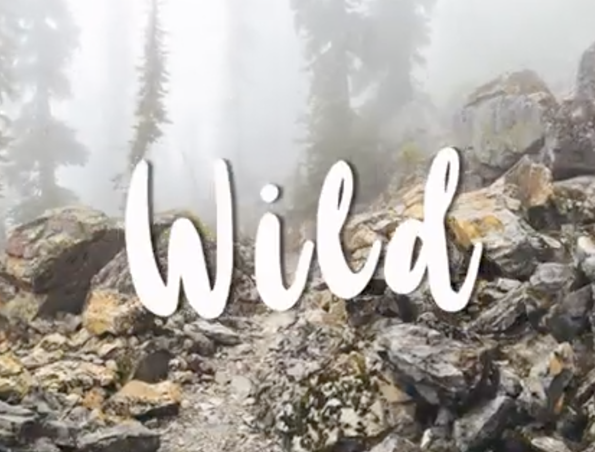 Wild Trailer Beginning Premier Pro