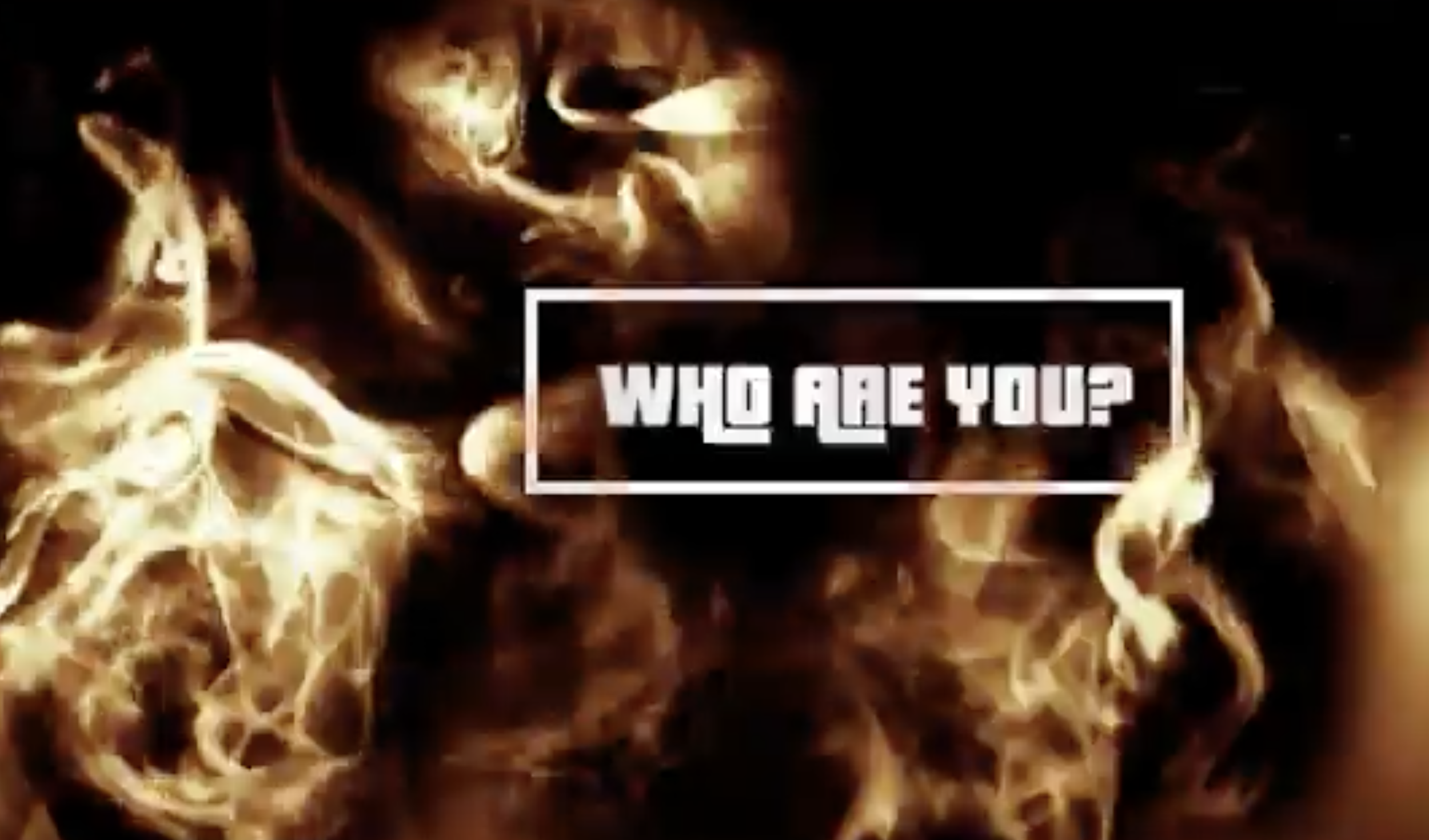 Who Are You? Project, Owl.