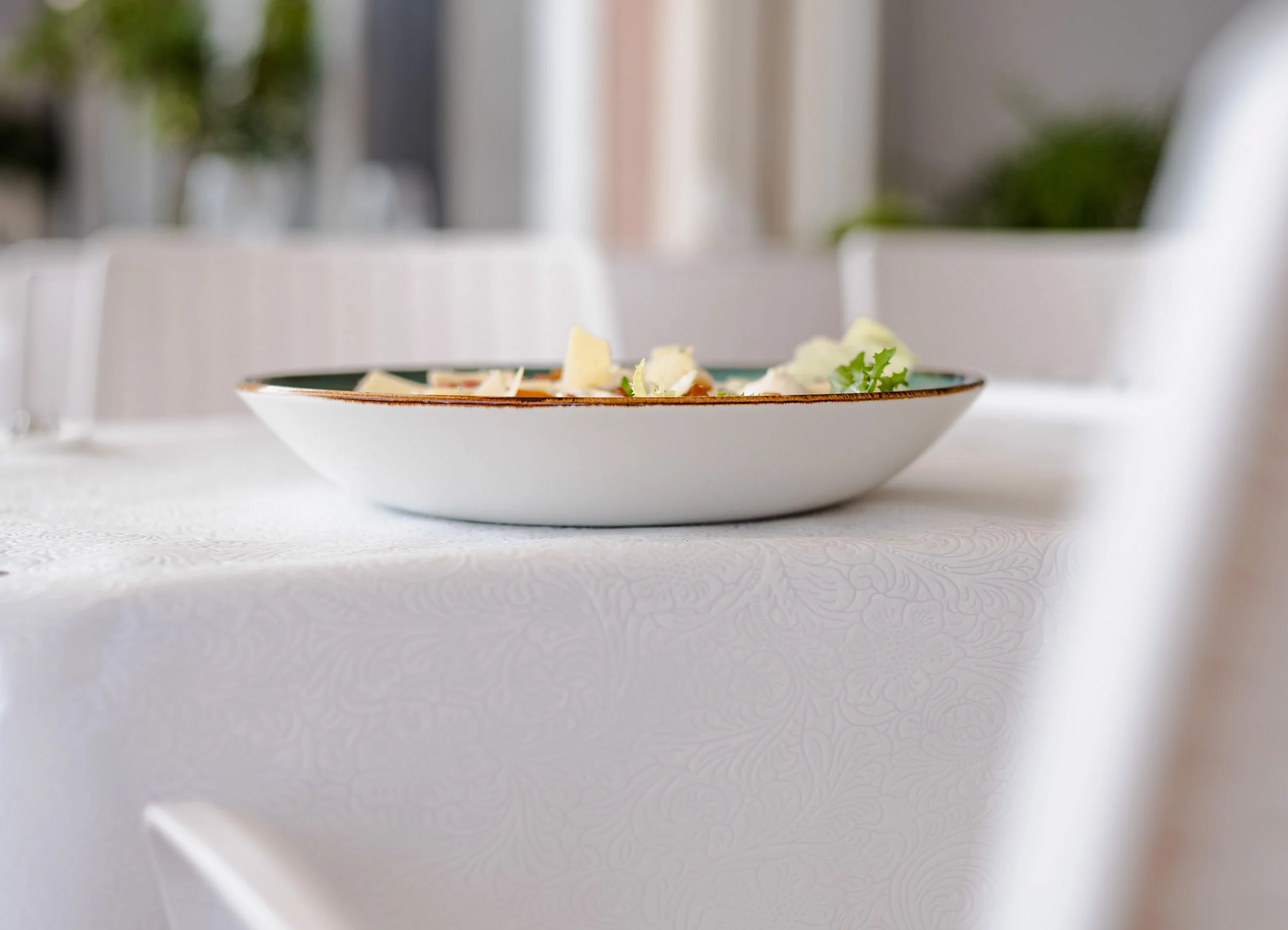Understanding Anorexia Nervosa