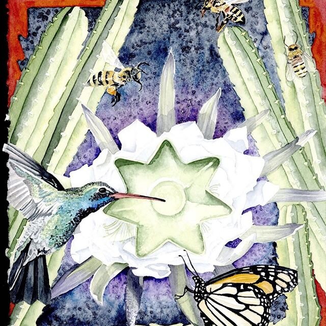 I always love to see the free and loose strokes of my sketches evolve as I reinvent them with high quality watercolor paper and the richness of color!  #medicinepath #medicinepathbook #innerluna #watercolor #hummingbird #goodmedicine #inagoodway #boo