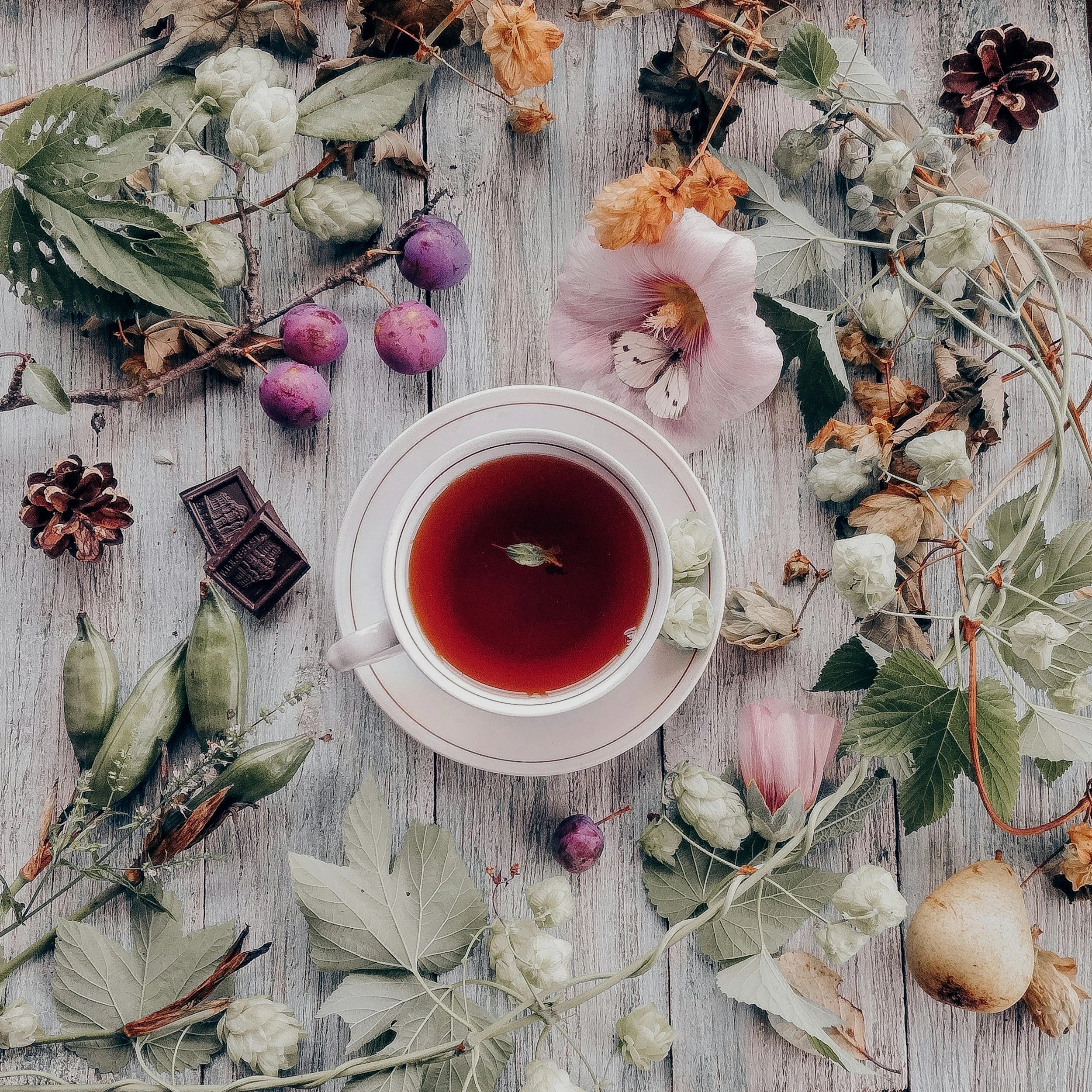 unsplash-image-y_gKWLrw3N4.jpg