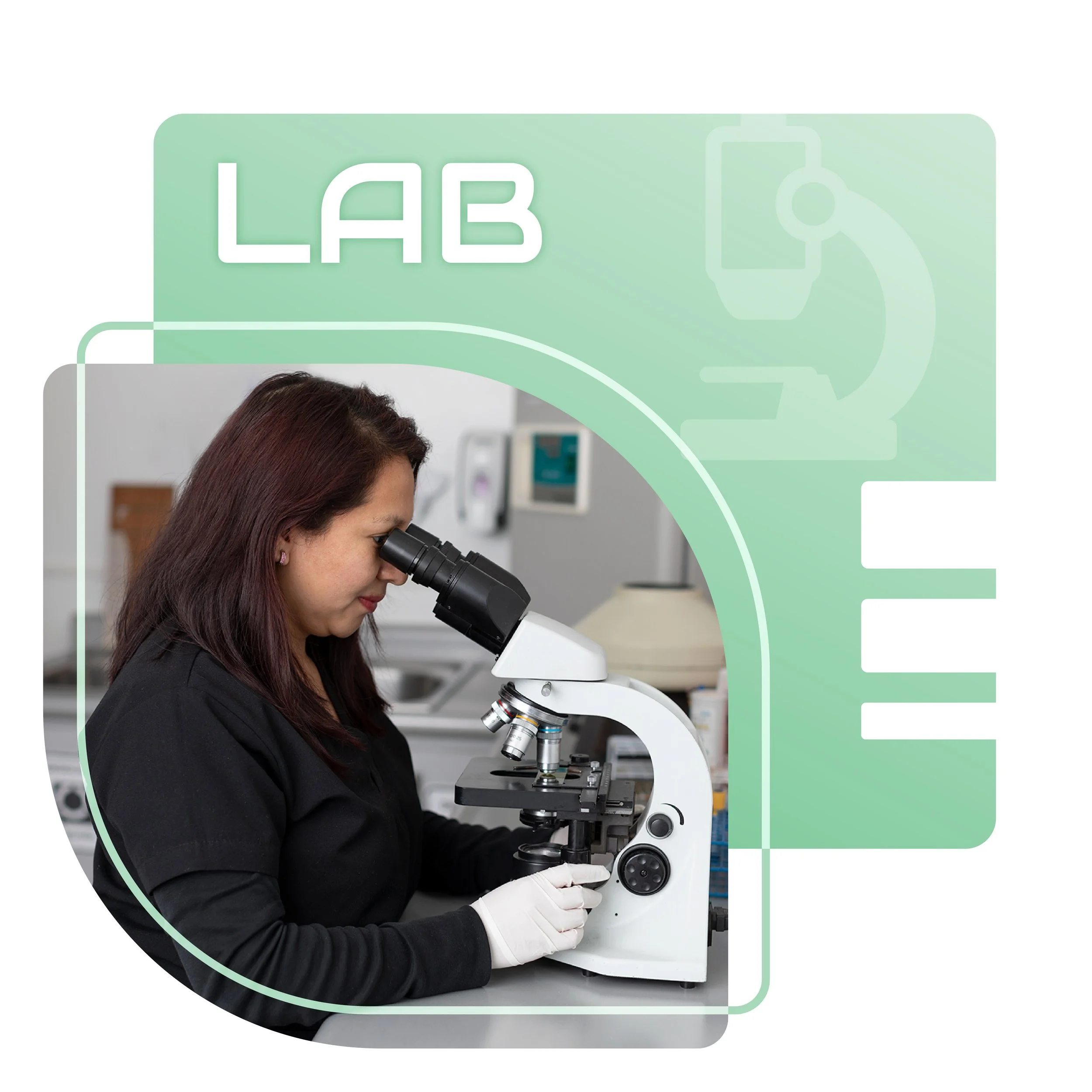 CS_ILL_WEBSITE_CR_2021_LAB.jpg