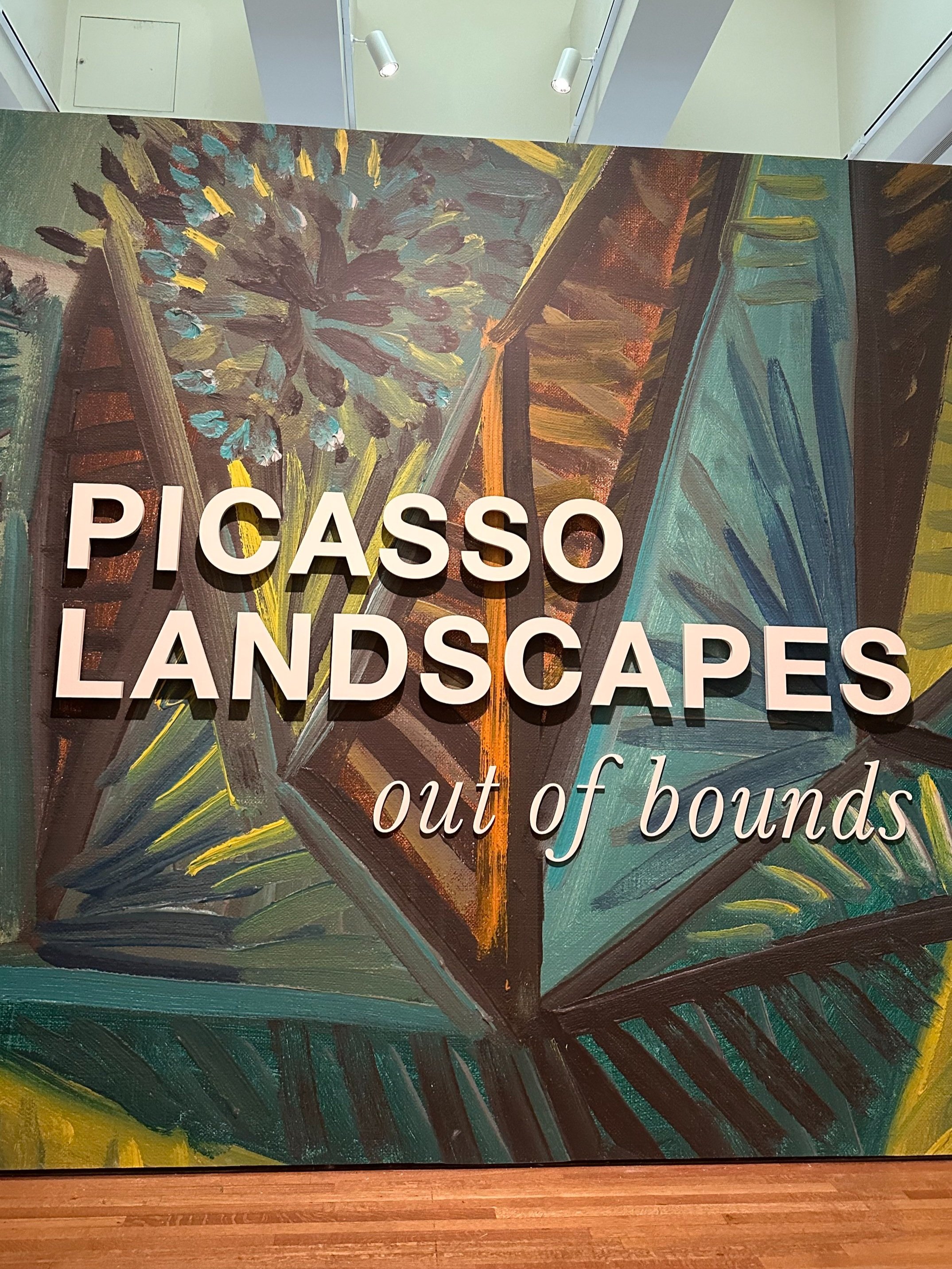 Picasso_Landscapes_Cincinnati_Art_Museum.jpg